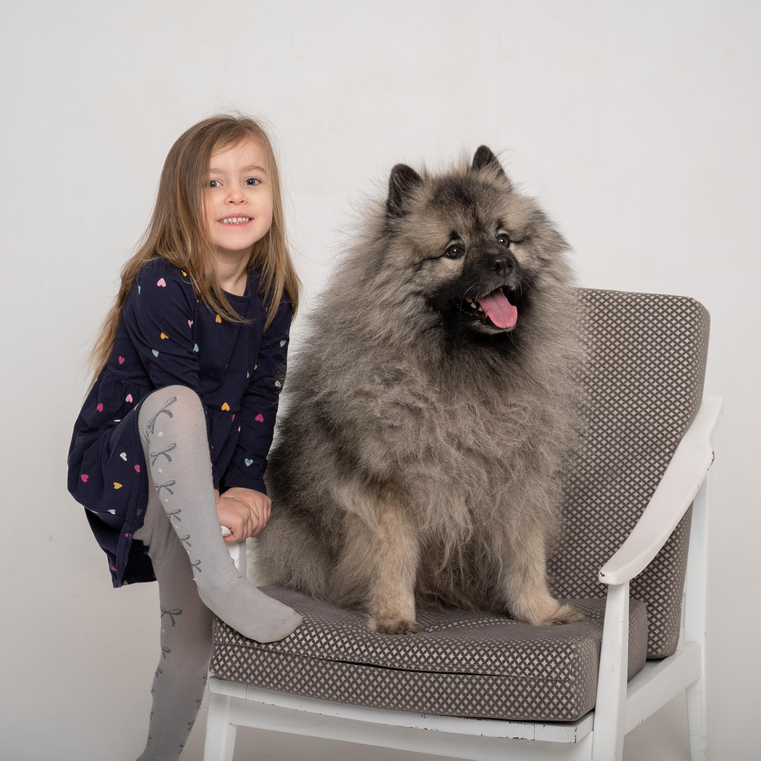 Фотоссесия с ивотными. Событийный фотограф в Санкт — Петербурге Elena Ushakova