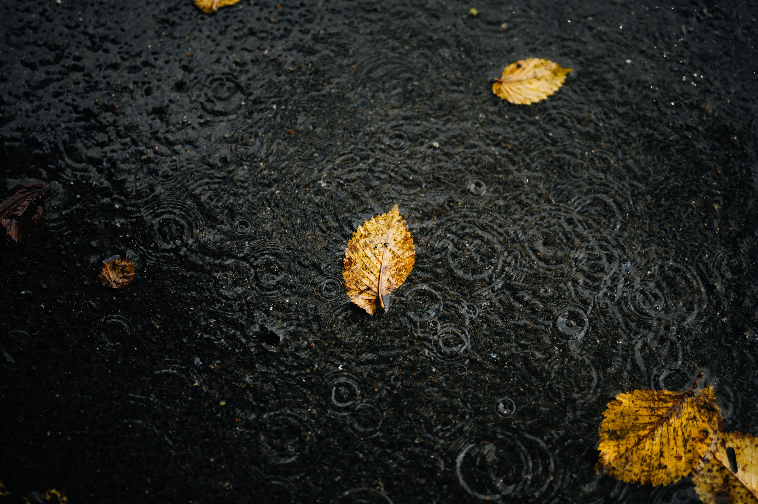 Невидимый спектр. Komonev