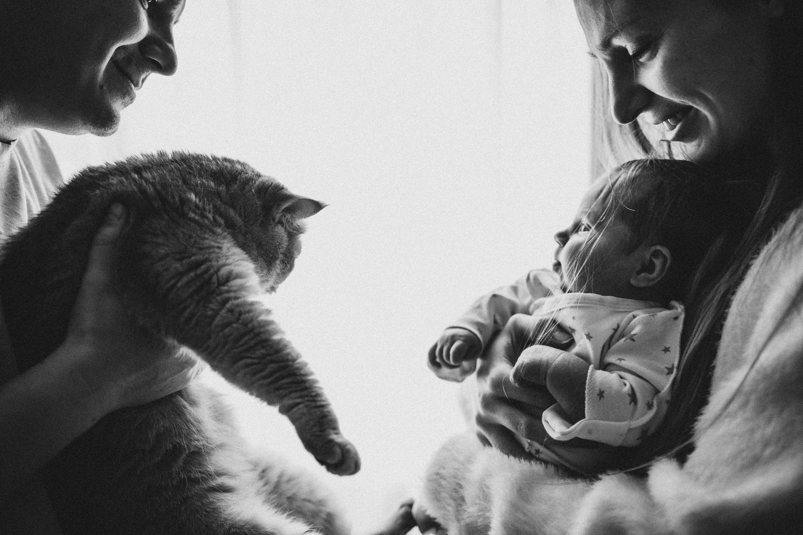 Малышка Ева. Семеный, Детский, Love story фотограф