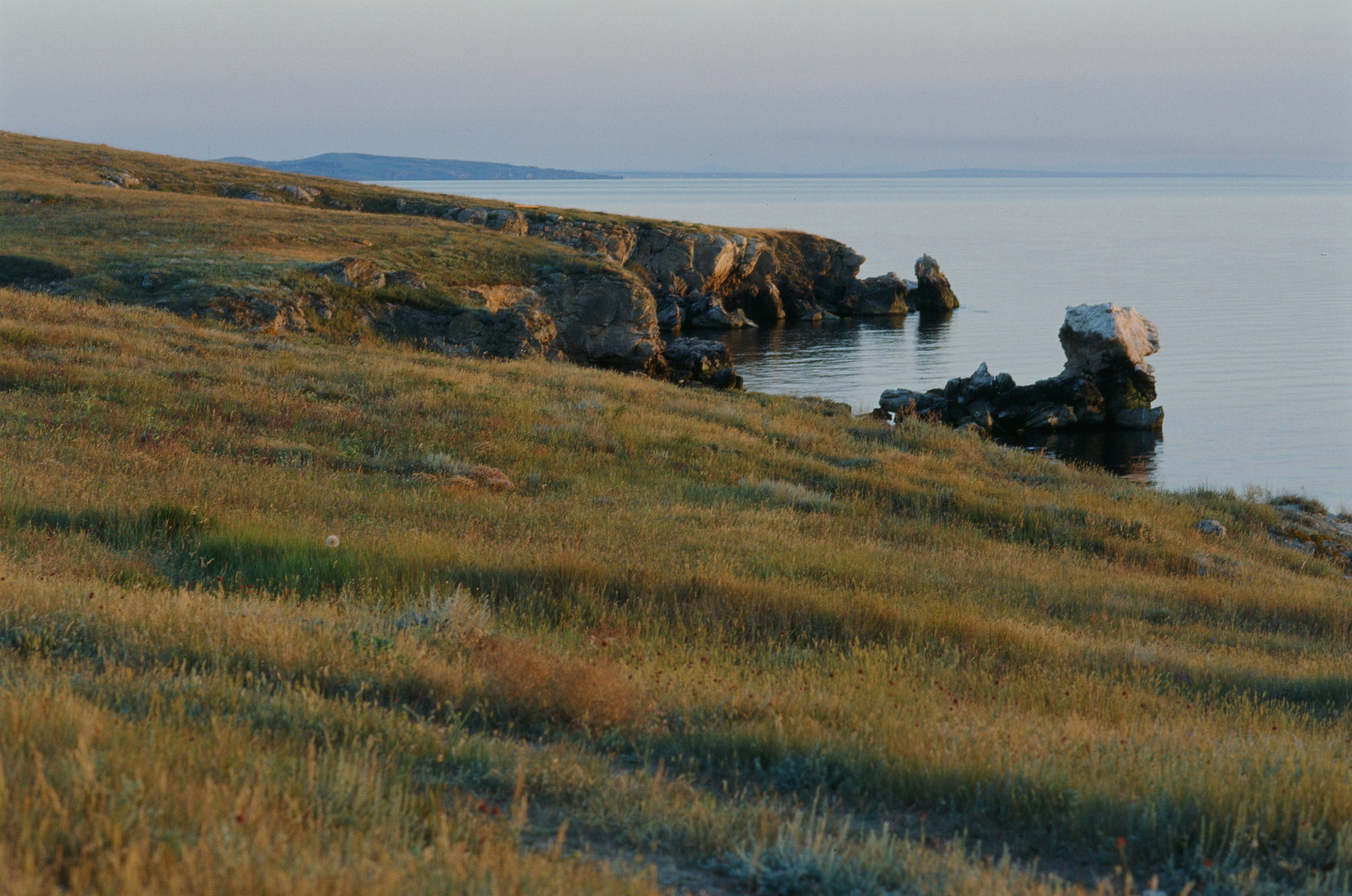 Dig it // ukraine, crimea V. EVER EXPOSED