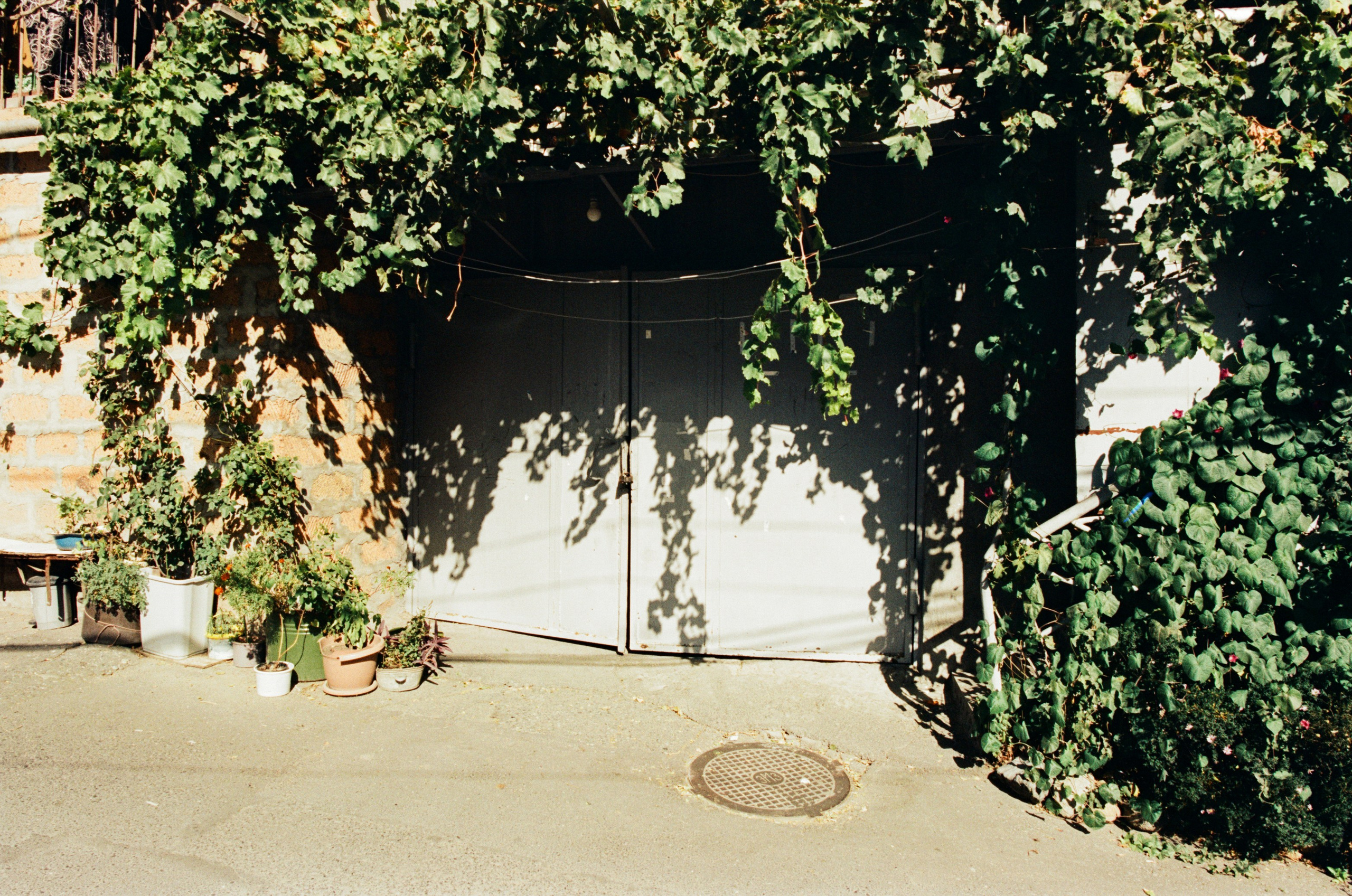 Darkest lullaby // armenia, yerevan. EVER EXPOSED