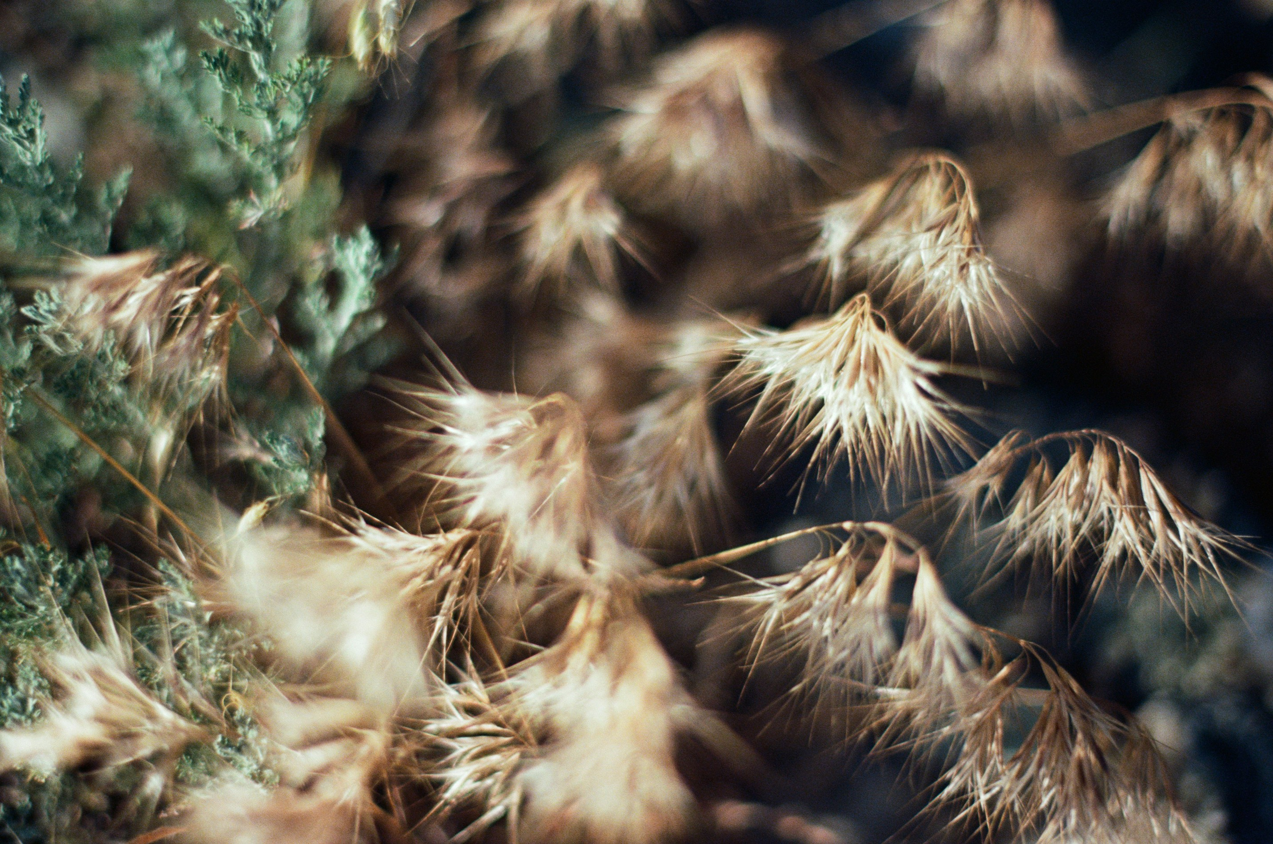 Kool-aid // ukraine, crimea IV. EVER EXPOSED