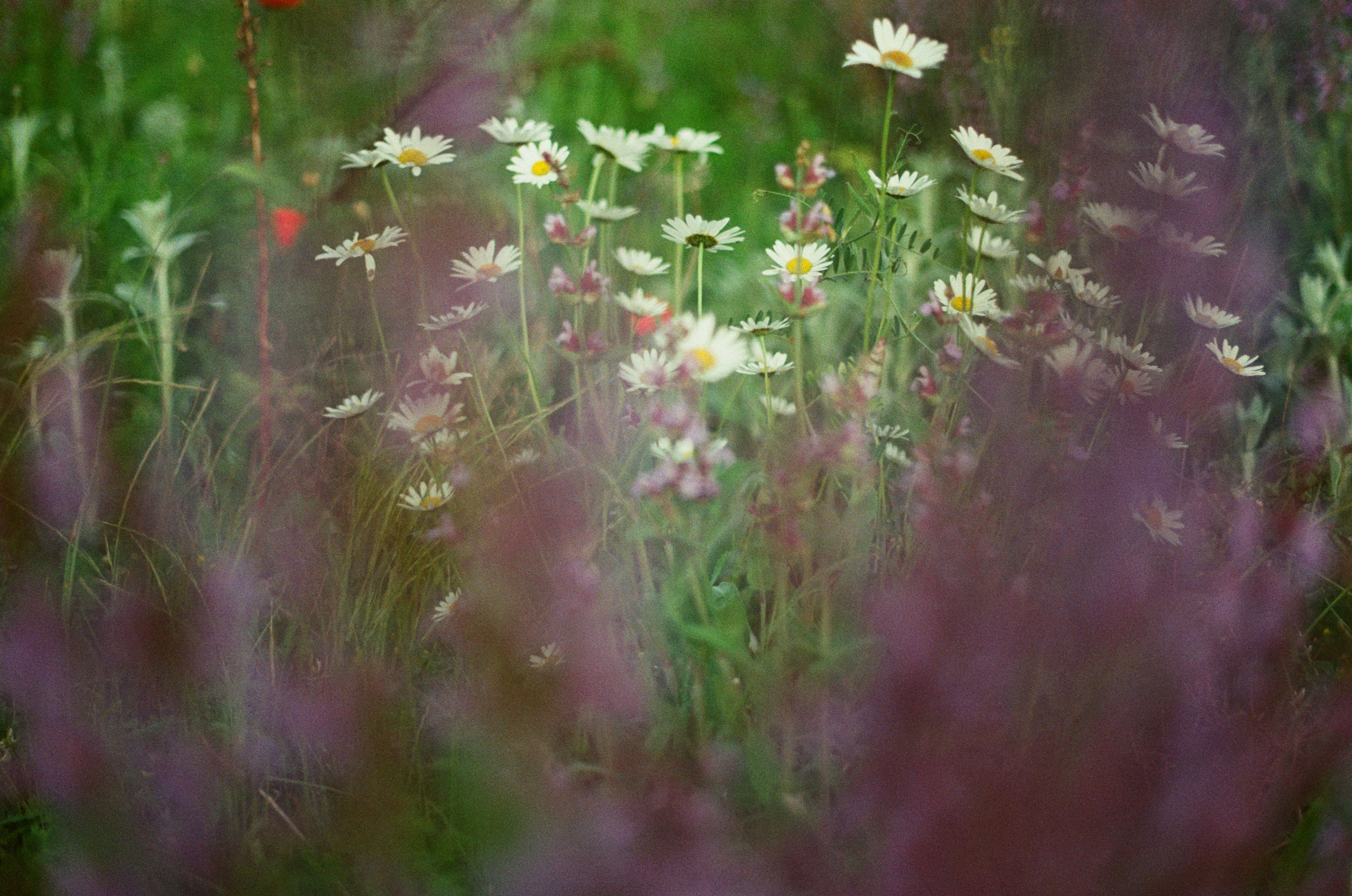 Silent running // ukraine, crimea IV. EVER EXPOSED