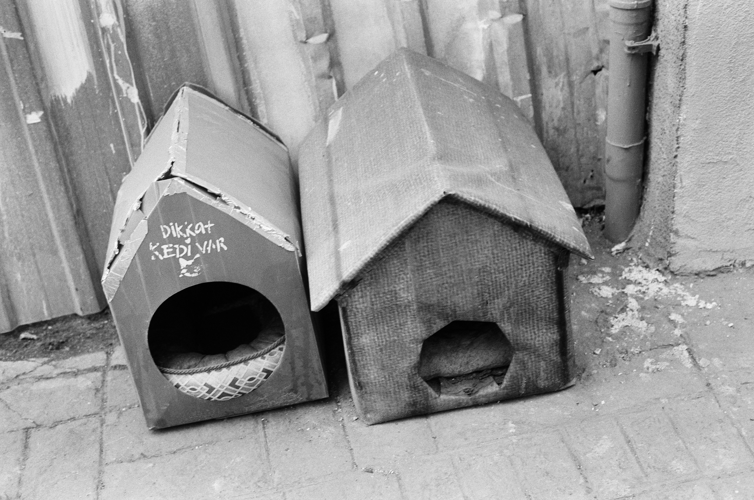 Complicated // turkey, istanbul VI. EVER EXPOSED