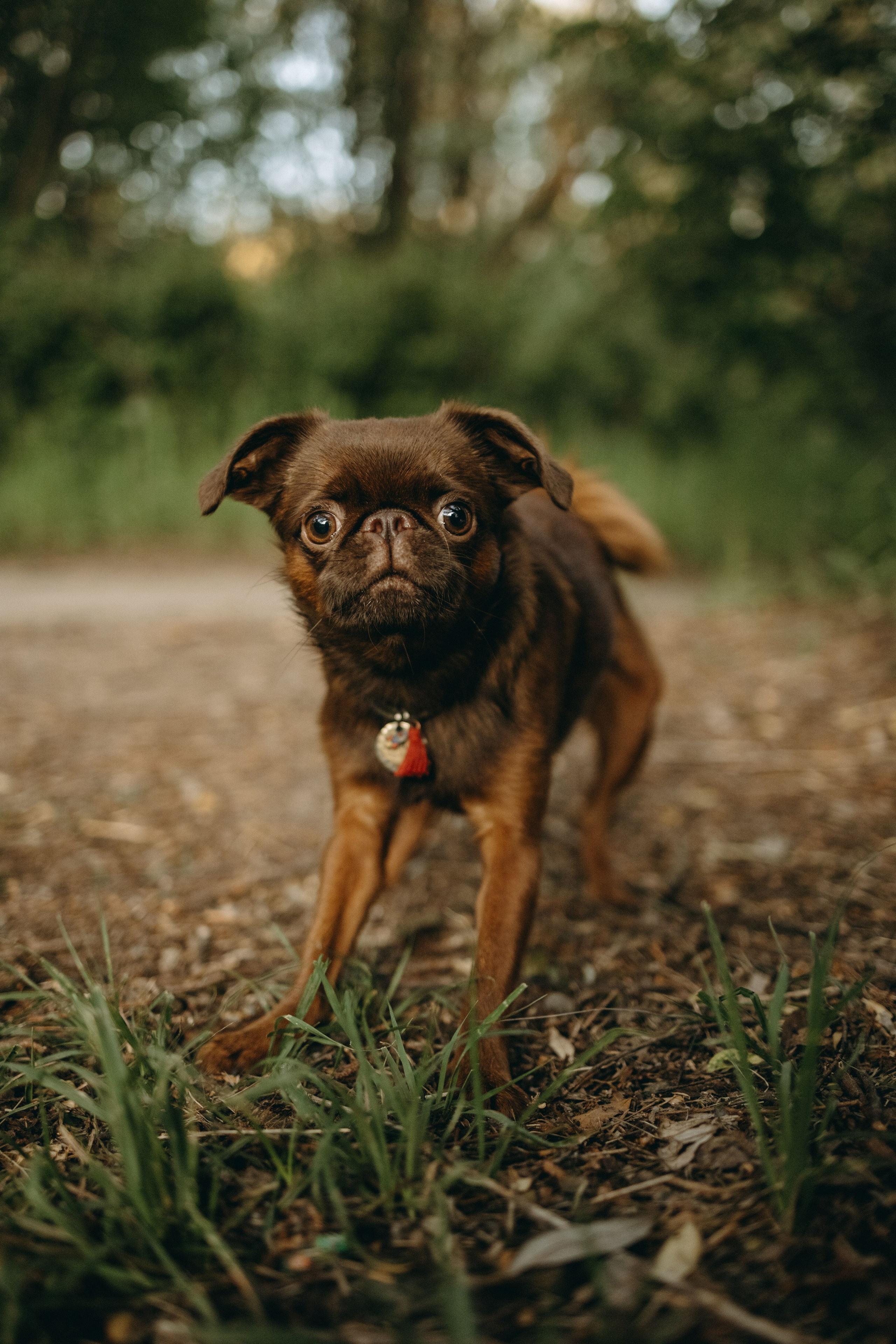 Екатерина и Лёня. Фотограф — Анималист | Санкт-Петербург