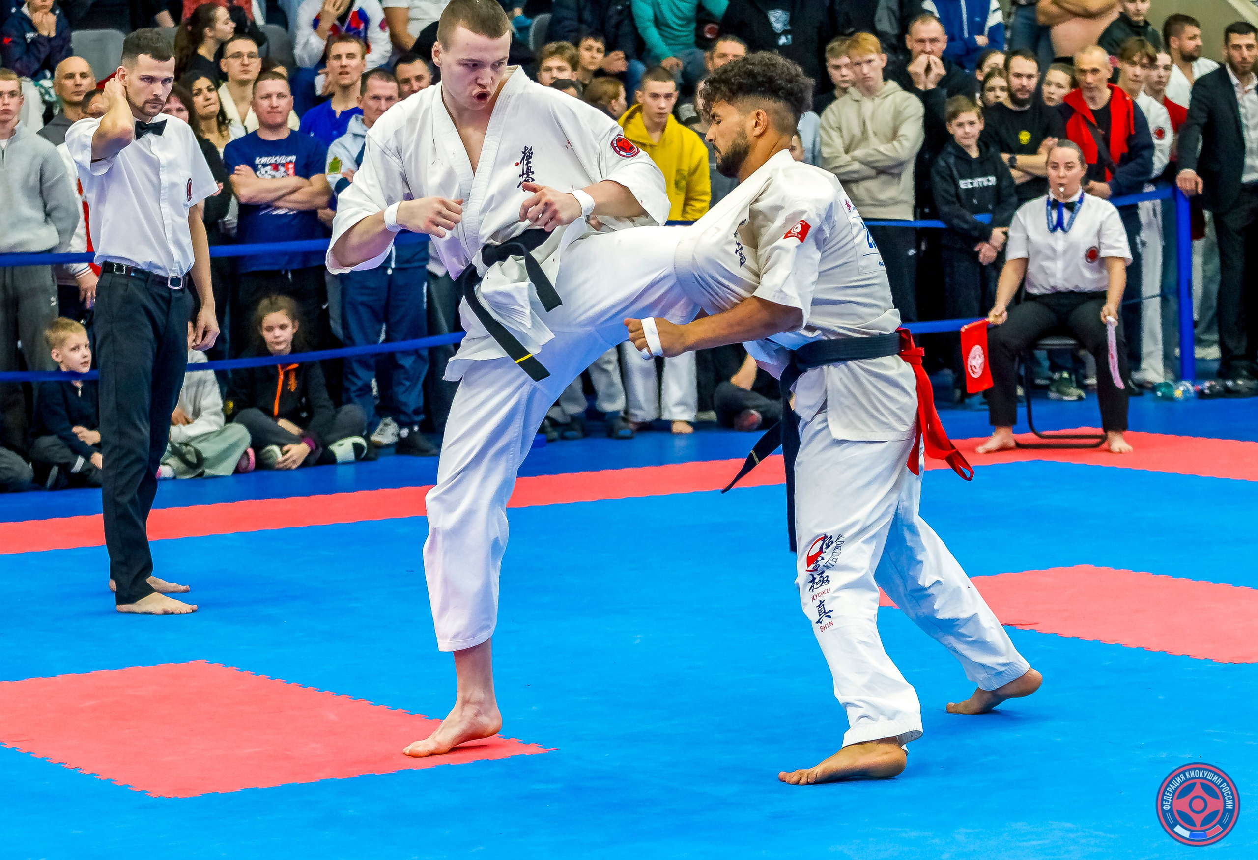 Международный турнир по киокушин «Открытый кубок Seiken». Репортажная съемка в Москве и области. Анималистика