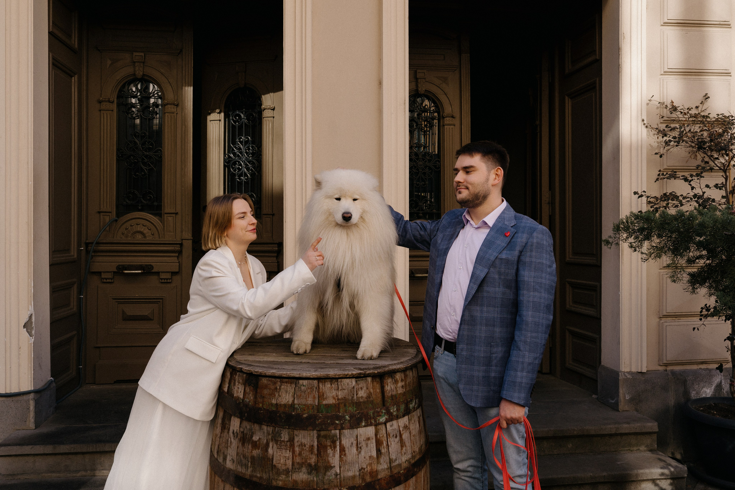 Пушистый свидетель