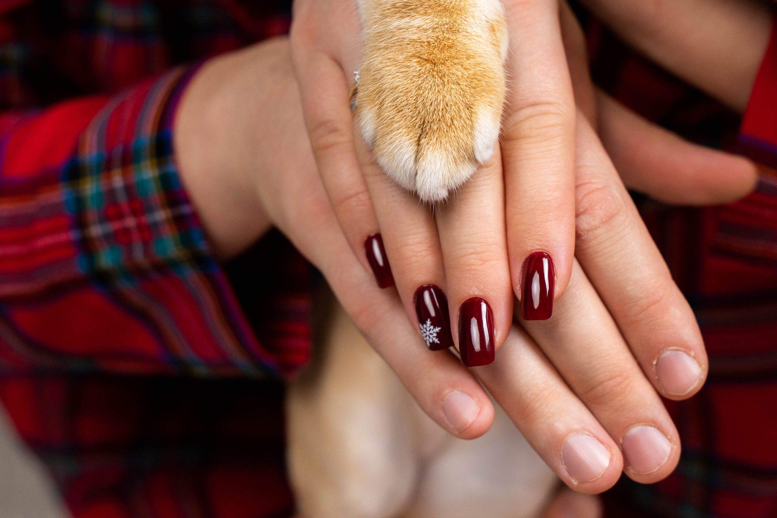 Студийная фотосъемка. Фотограф в Крыму Татьяна Барицкая ЕНОТИКА