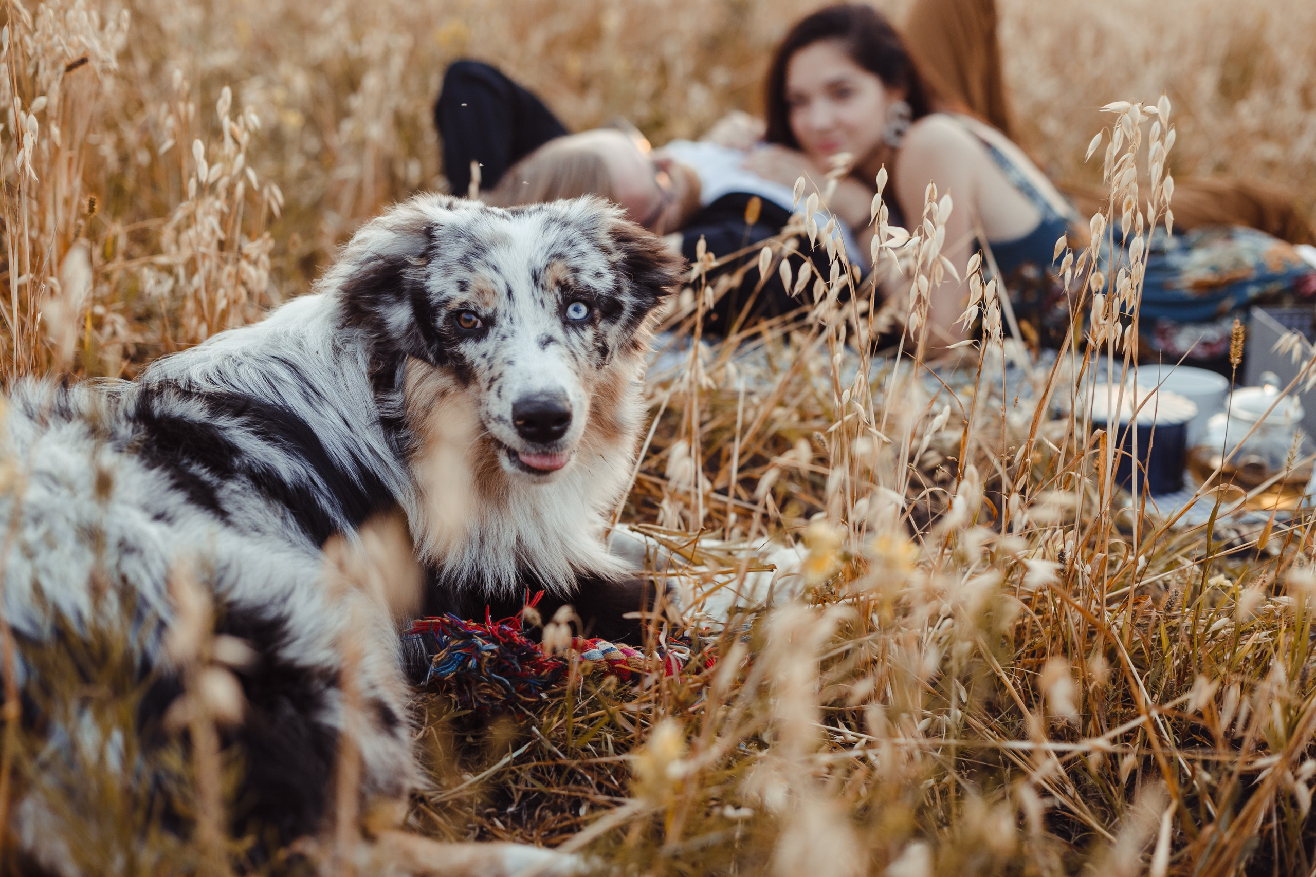 Mike. PHOTOGRAPHER romanoff-egor