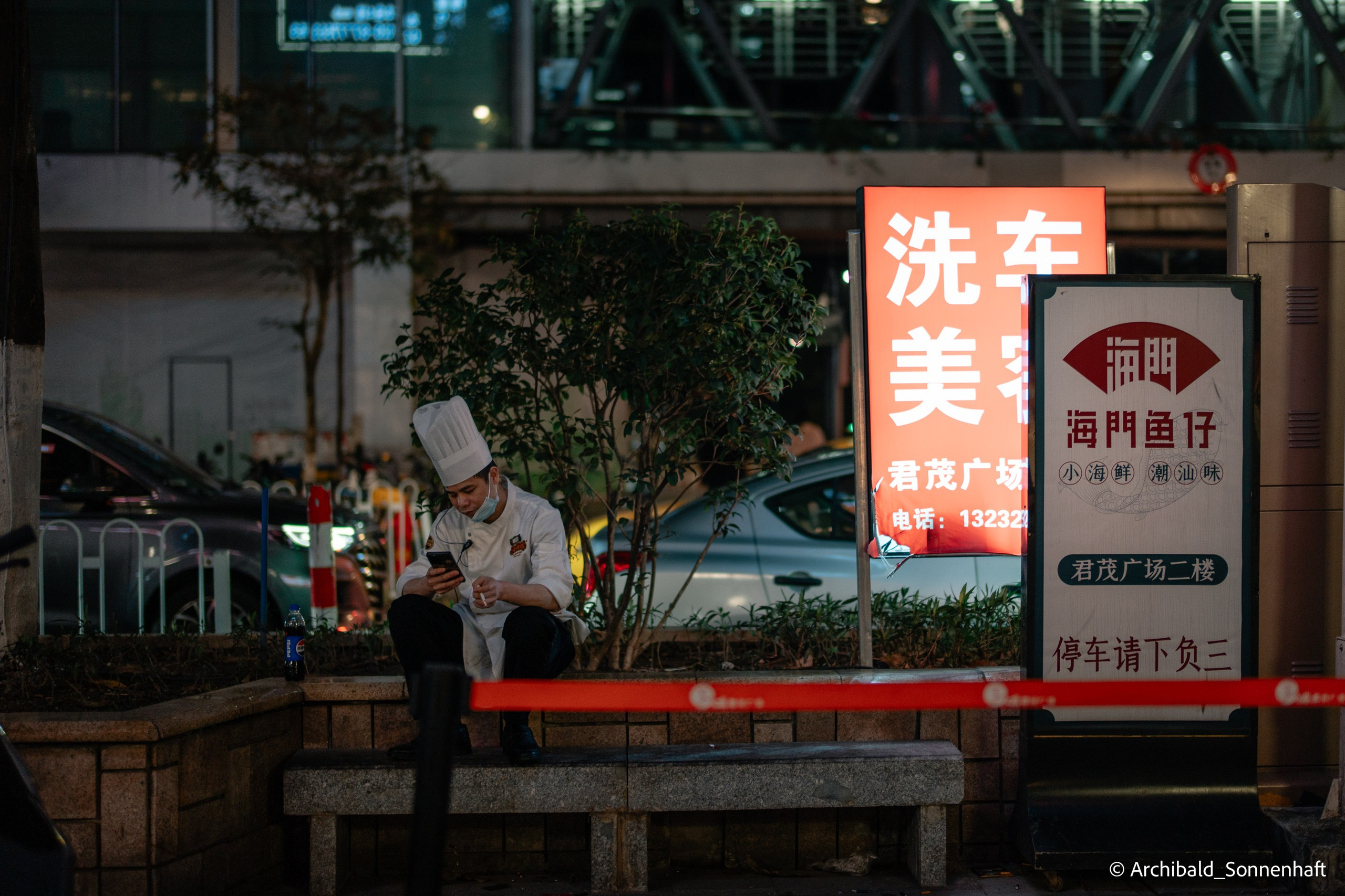 Cat, squirrel, japanese food and stand-up. Photographer in Guangzhou, China. Archibald Sonnenhaft