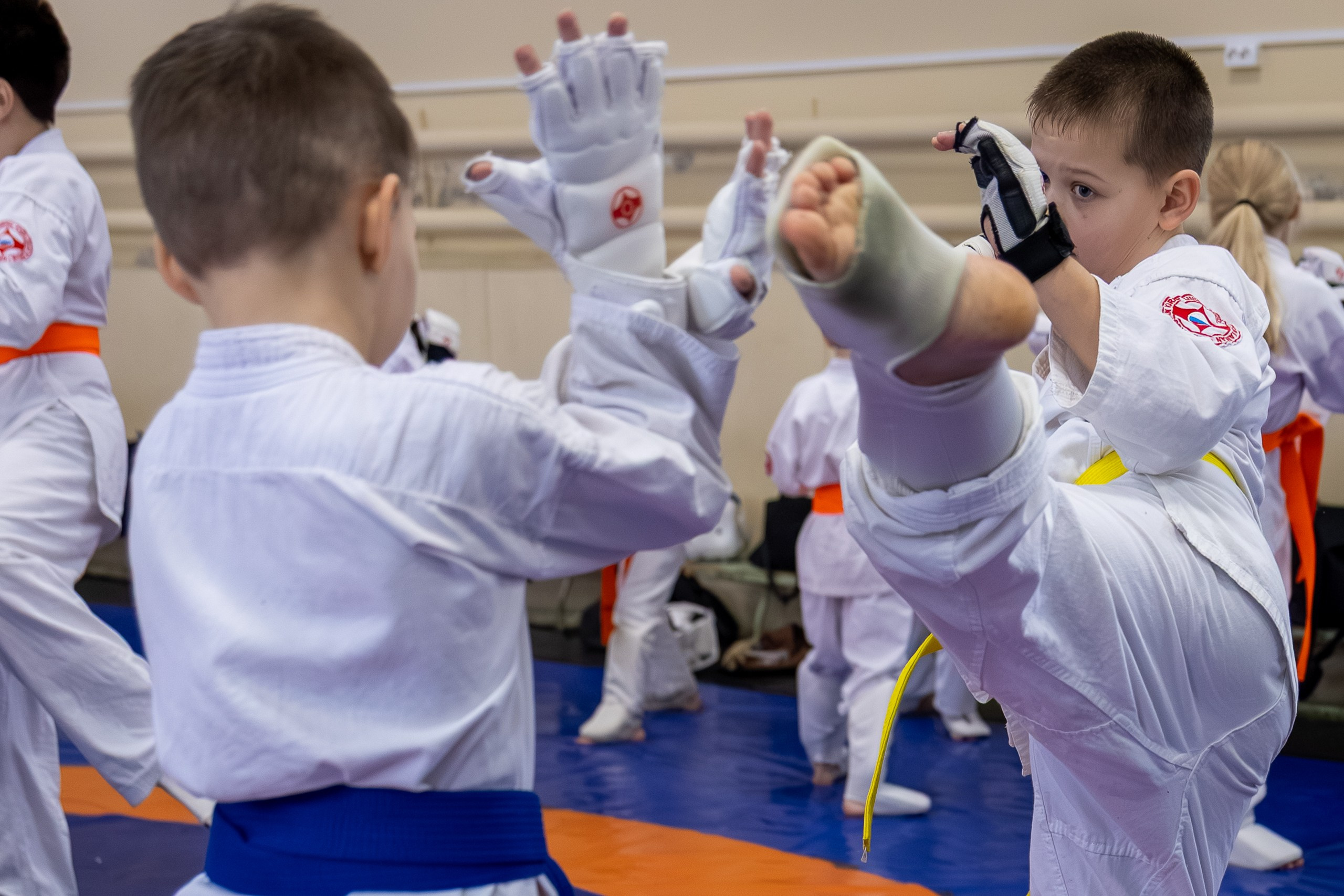 Открытый урок по карате февраль 2026. Главная