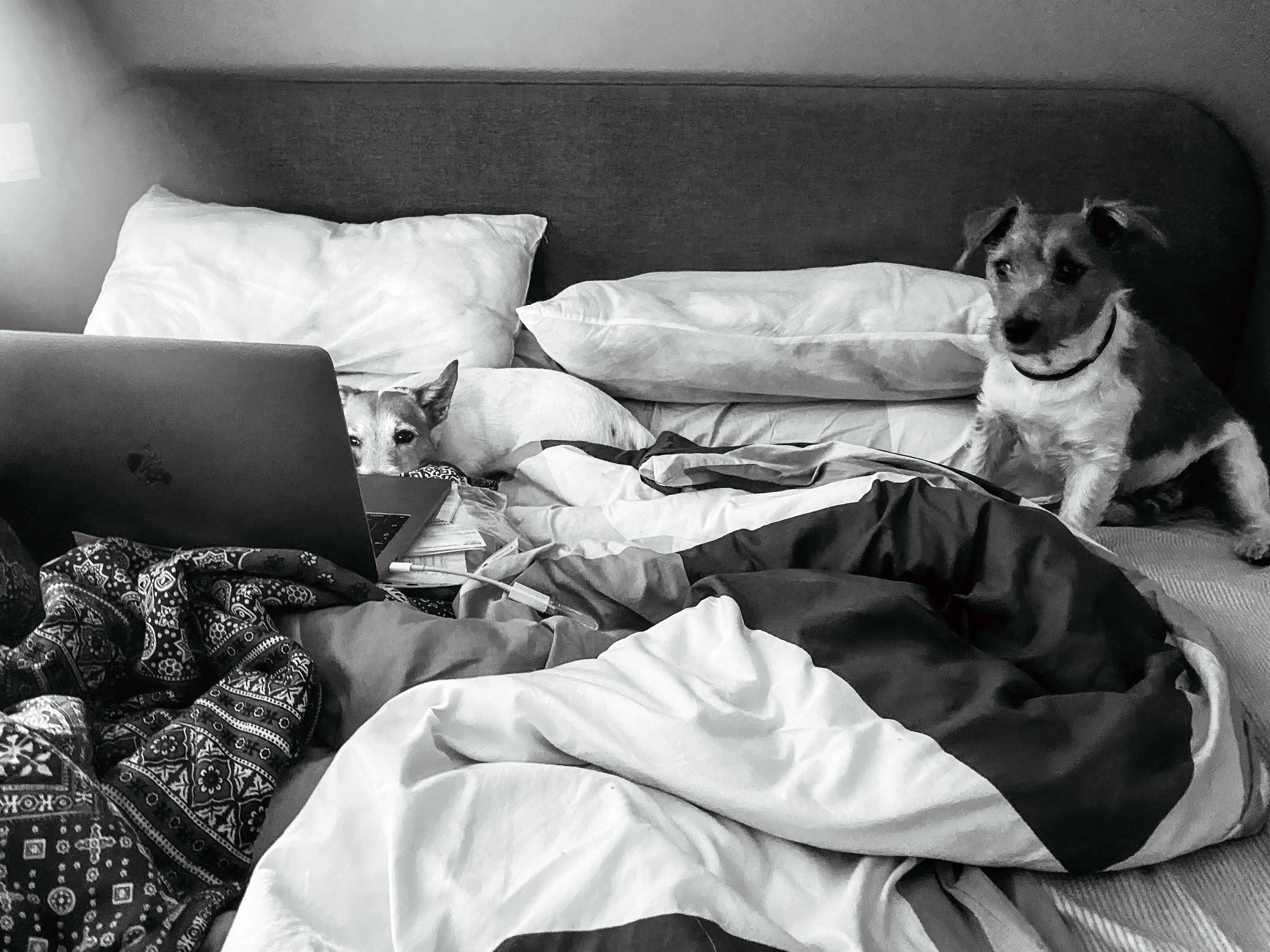 Yōko. Семейный фотограф в Москве Вики О»