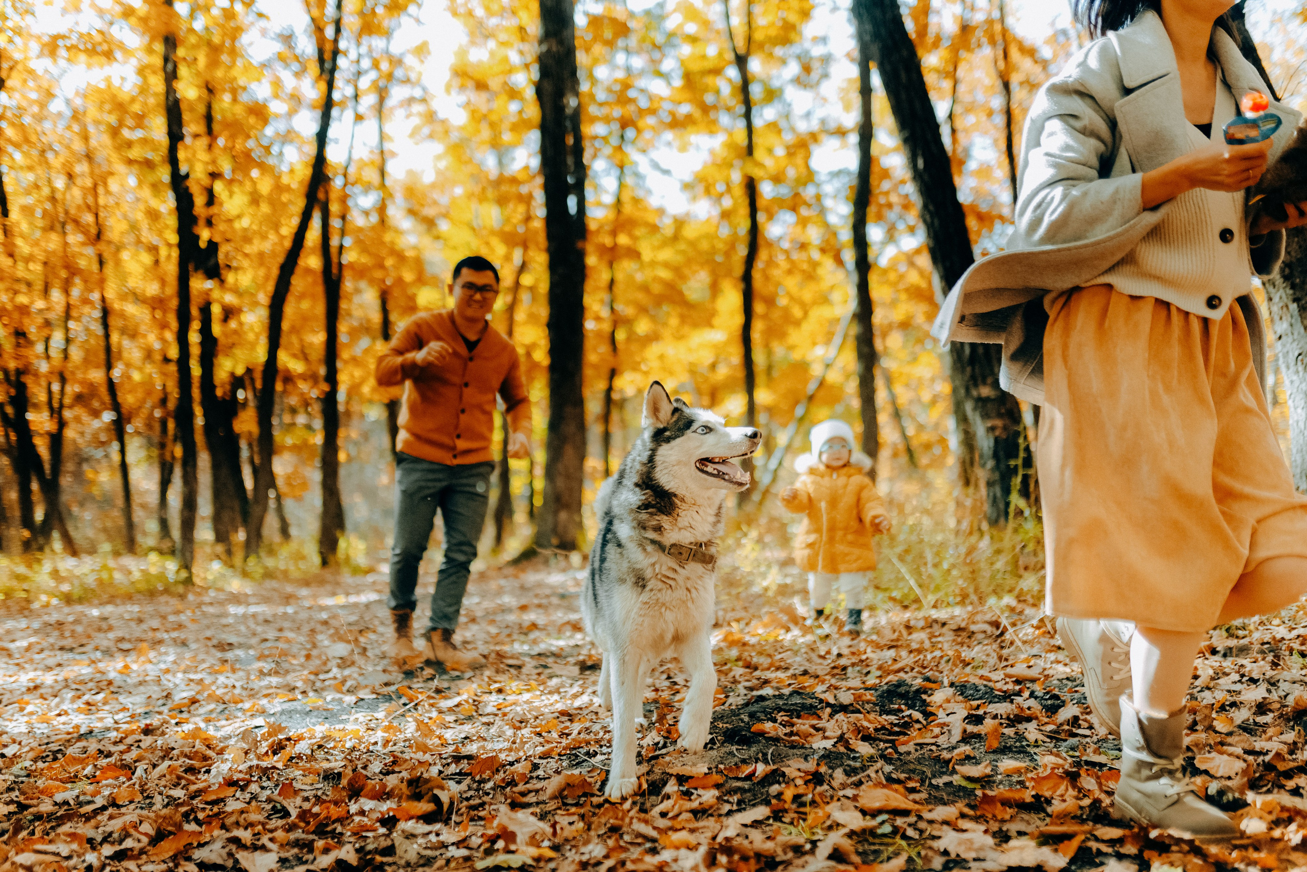 ТЕПЛАЯ ОСЕНЬ. Шашкова Вероника / Свадебный и семейный фотограф Москва и Ярославль