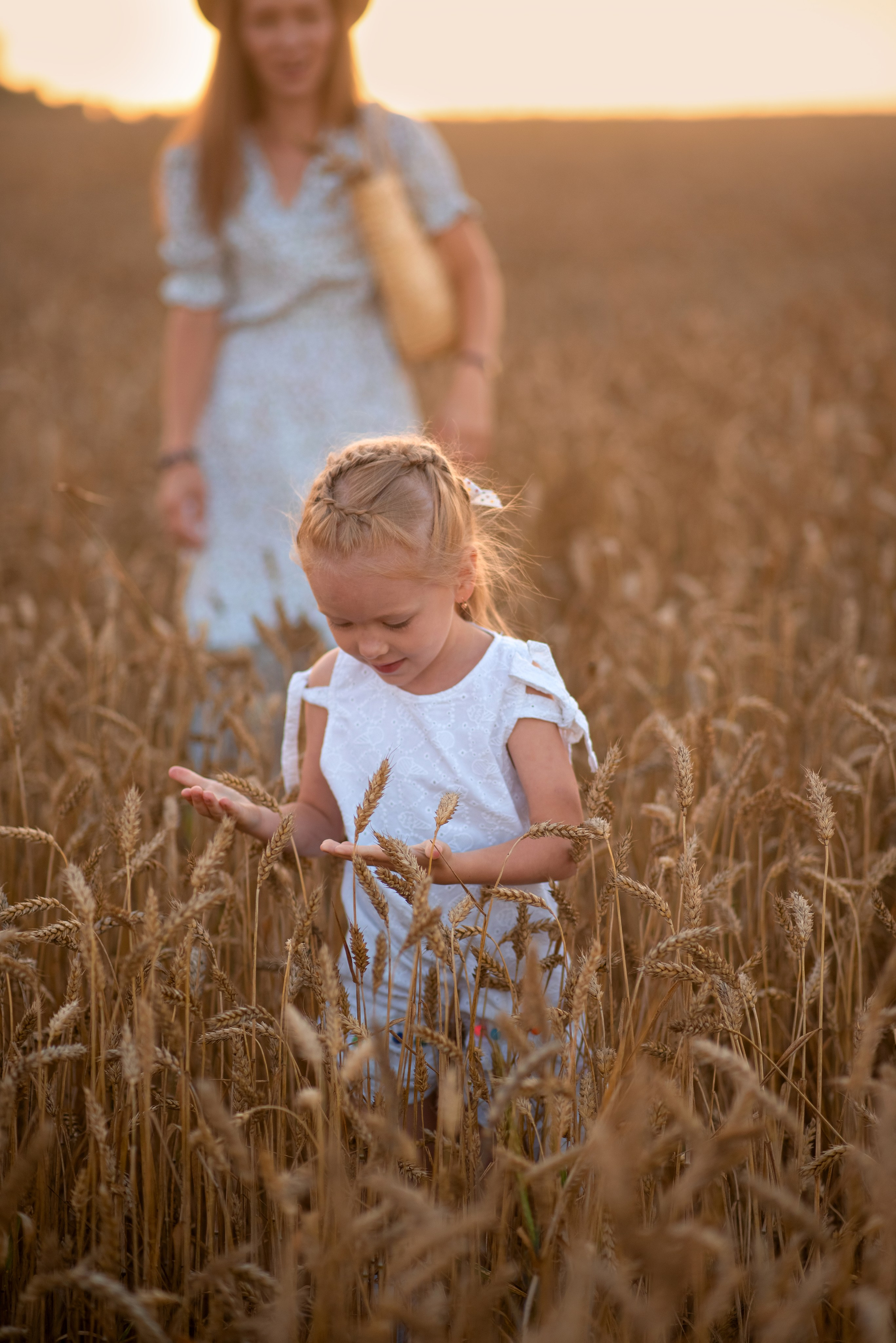 Семейная фотосессия в пшеничном поле. Семейный и детский фотограф в Туле Светлана Воронкова
