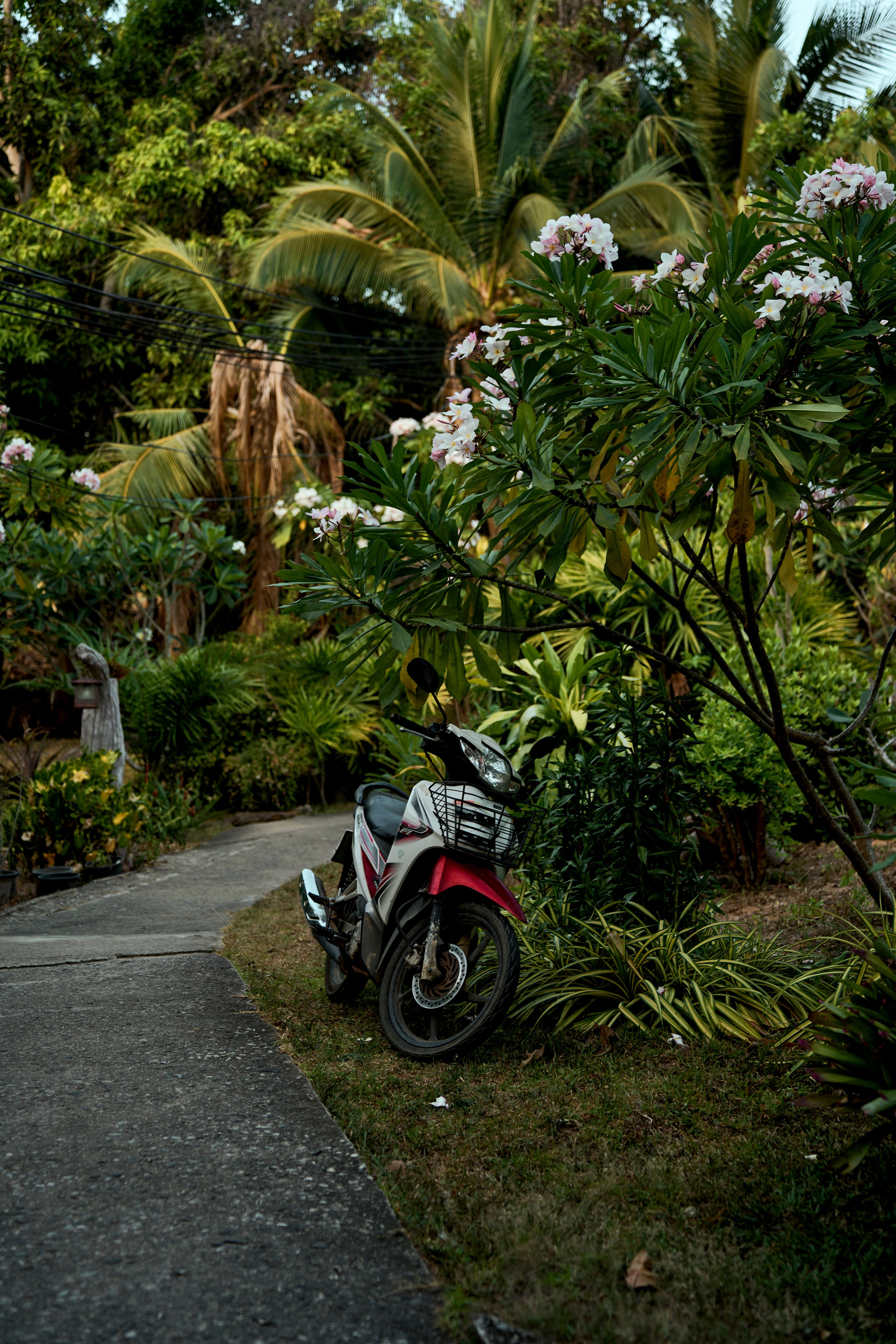 ТАИЛАНД. Студийный фотограф в Екатеринбурге Бшари Заана