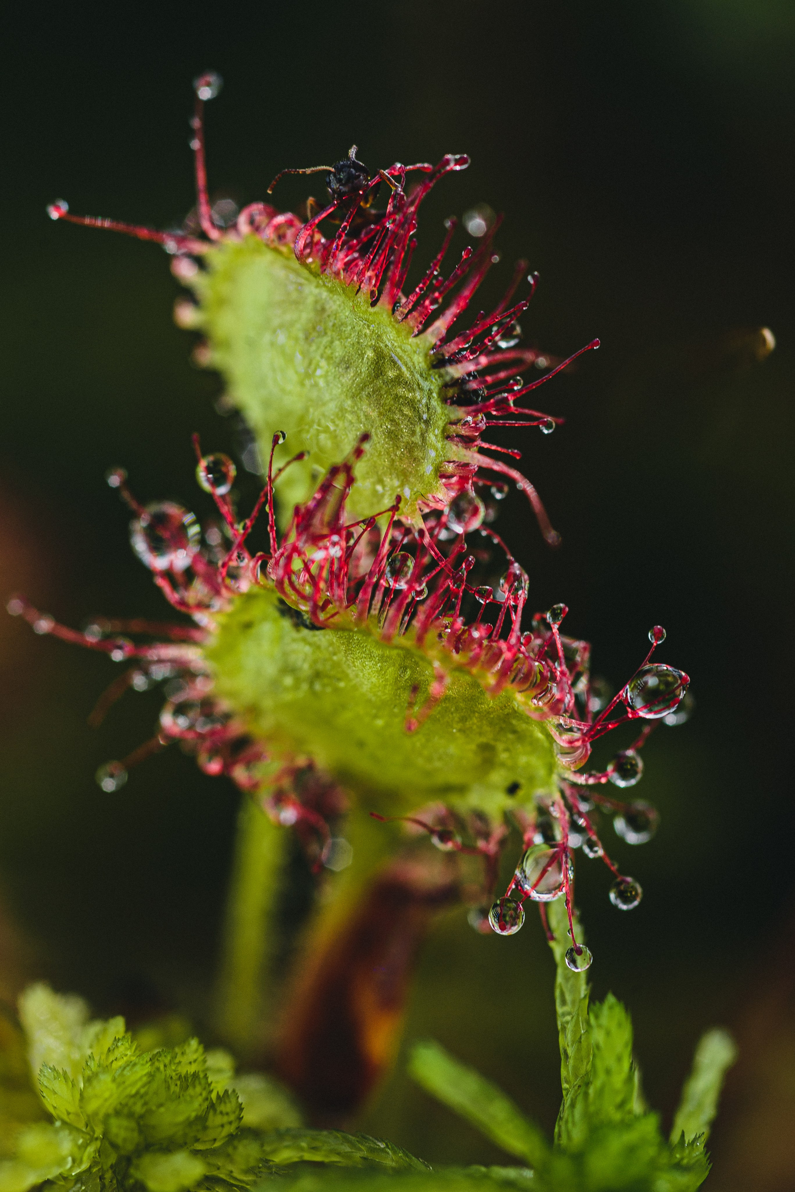 Фотопленэр на болоте. Фотообъединение Самарского областного отделения Союза журналистов России