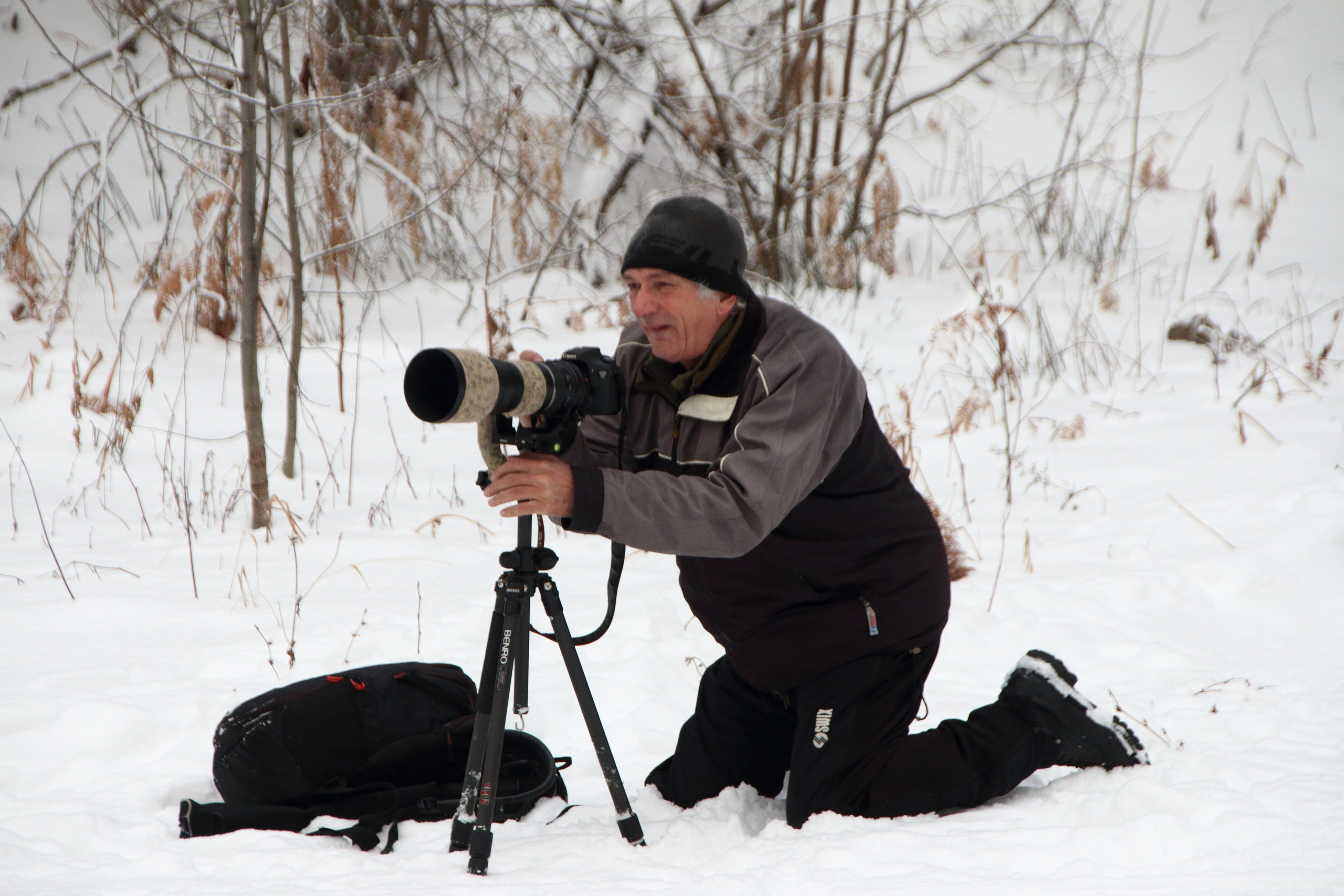 06.01.2020 Рождественские гонки на собаках. Фотообъединение Самарского областного отделения Союза журналистов России