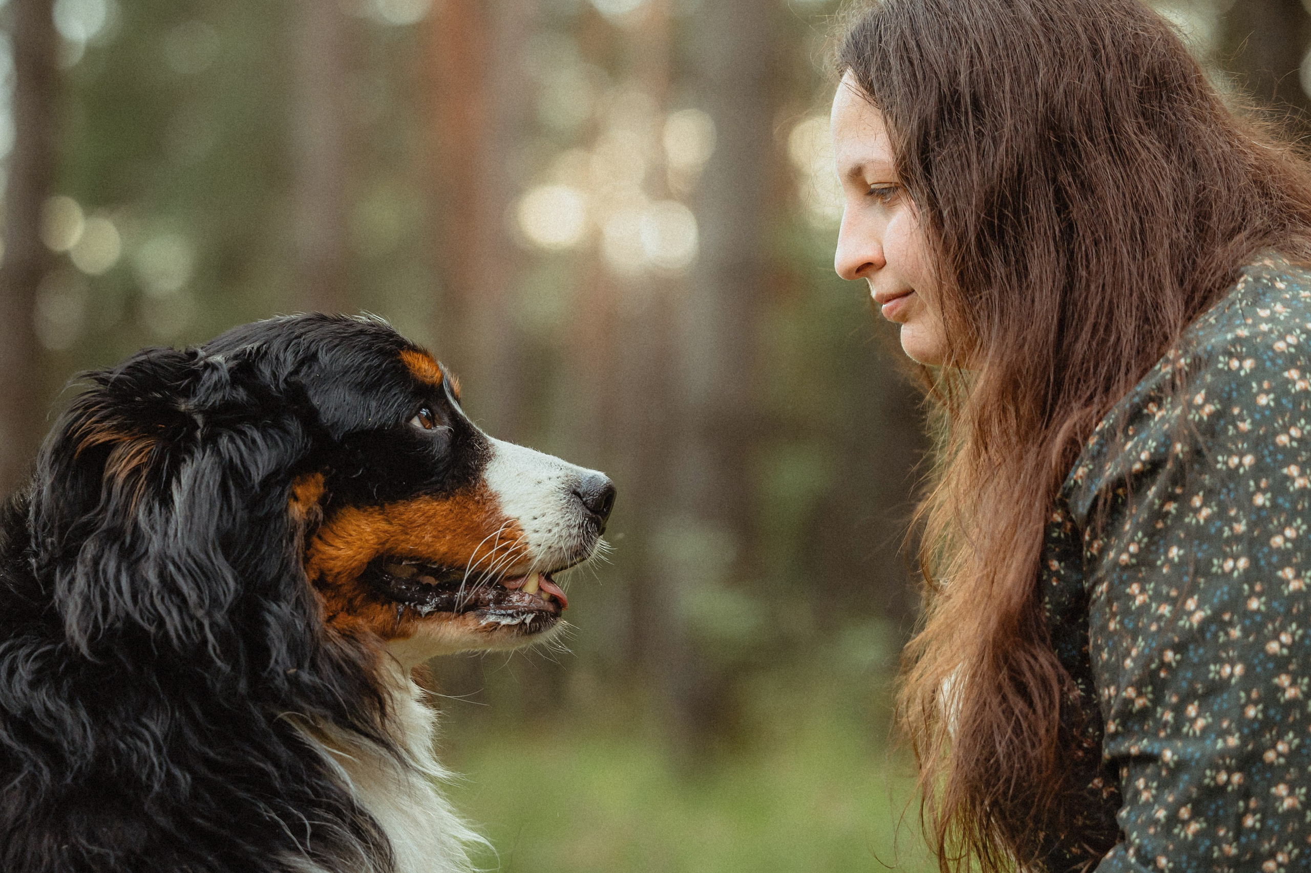 Выездной дог-тренинг от школы «Шерсть имею»