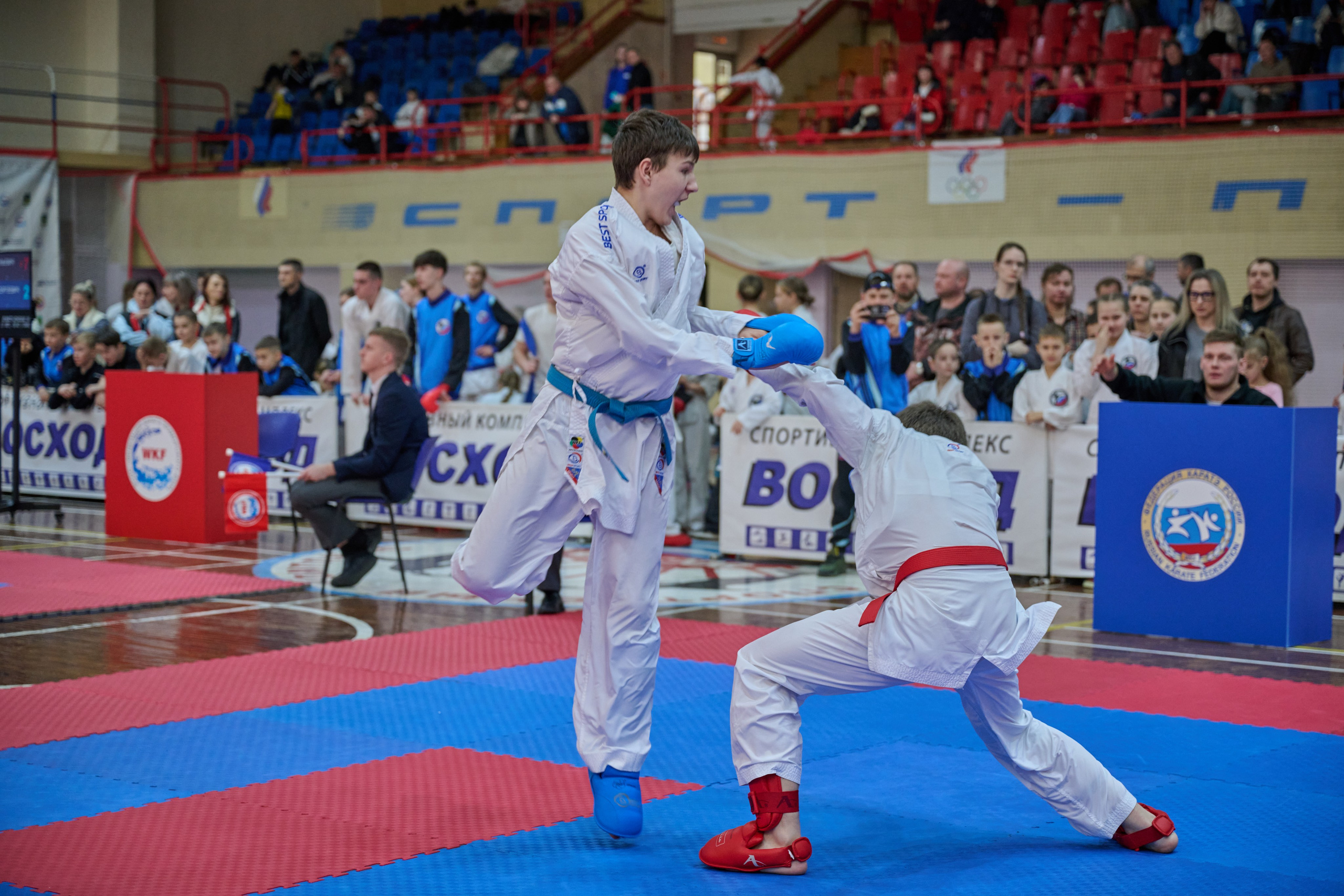 Чемпионат первенства Приморья по карате 28.03.26. Профессиональный репортажный фотограф Инесса Иминова