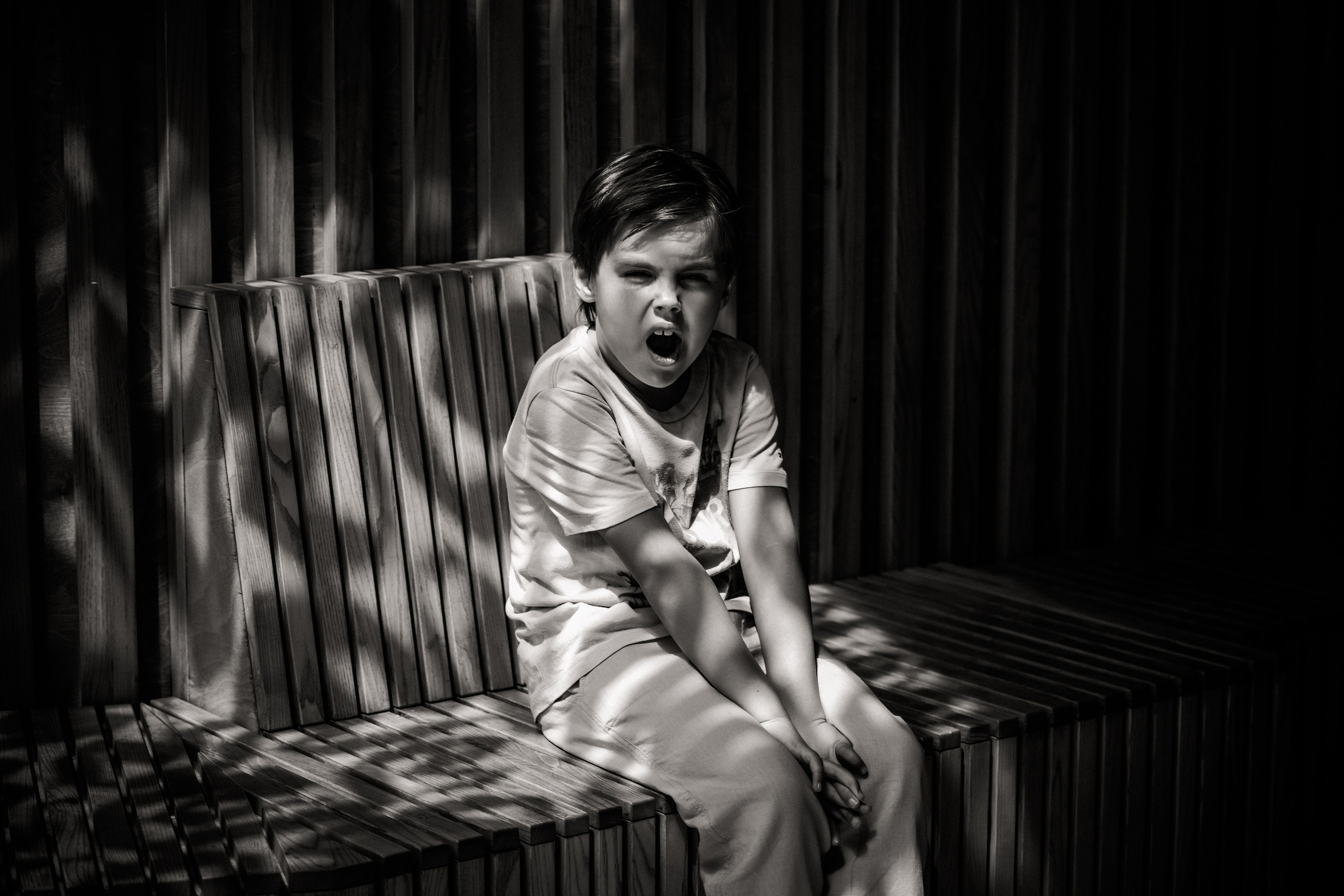 Лев. Свадебный и семейный фотограф в Москве и Подмосковье Лариса Козлова