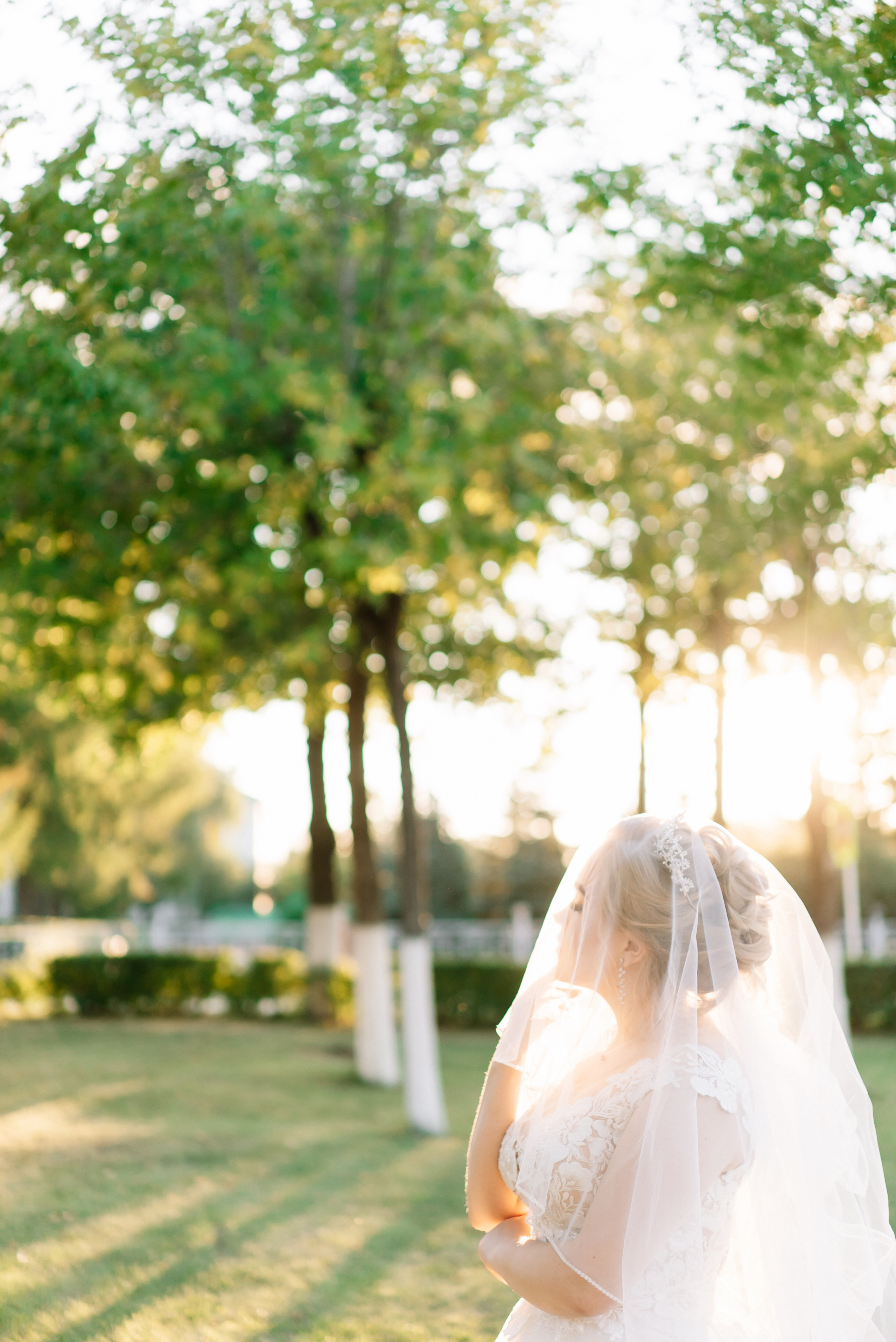 Сергей и Елена. Свадебный фотограф в Самаре Анна Ковалева