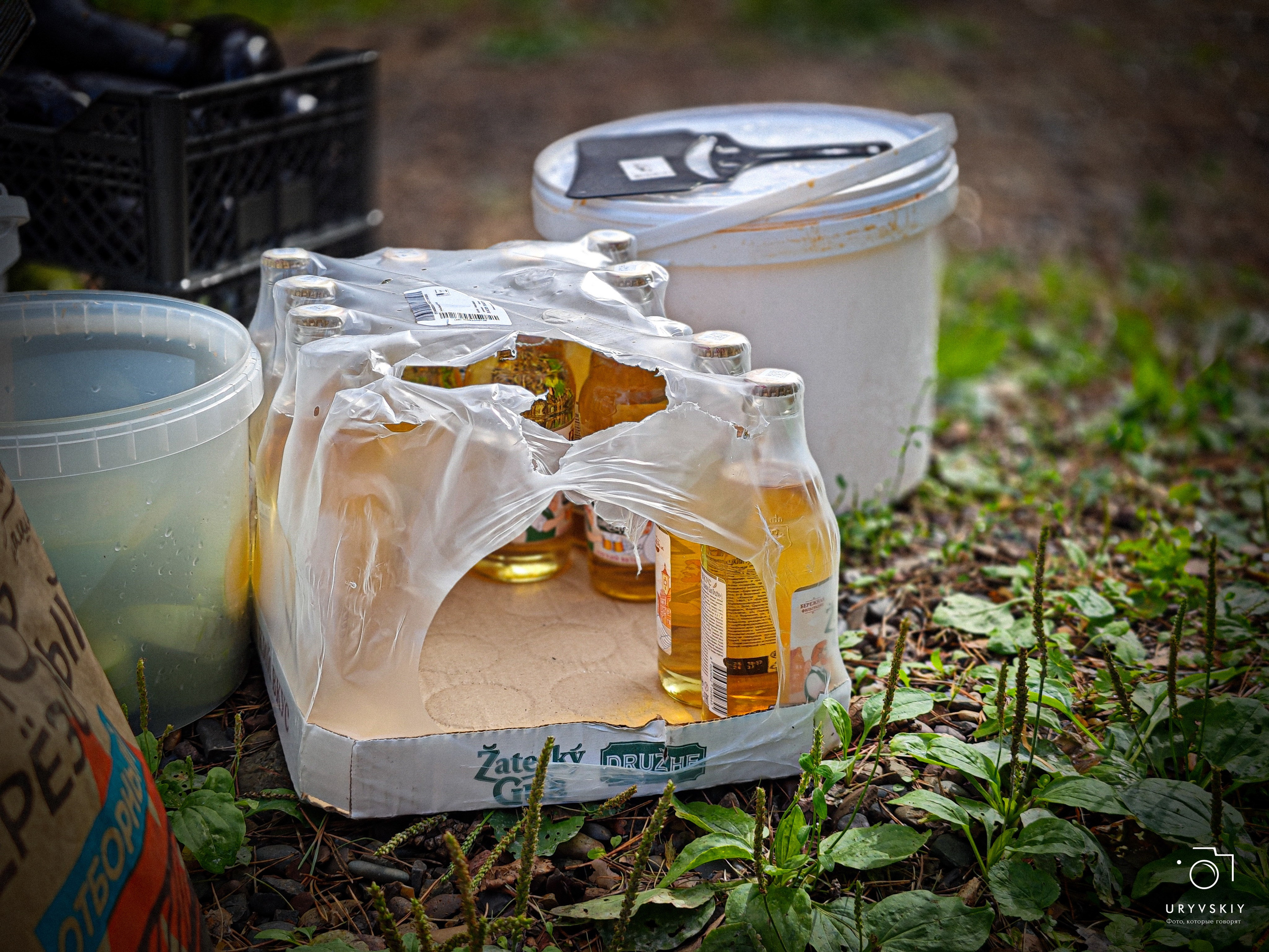 Командор, Хороший. День торговли 2025. Игорь Урывский. Фотограф Красноярск