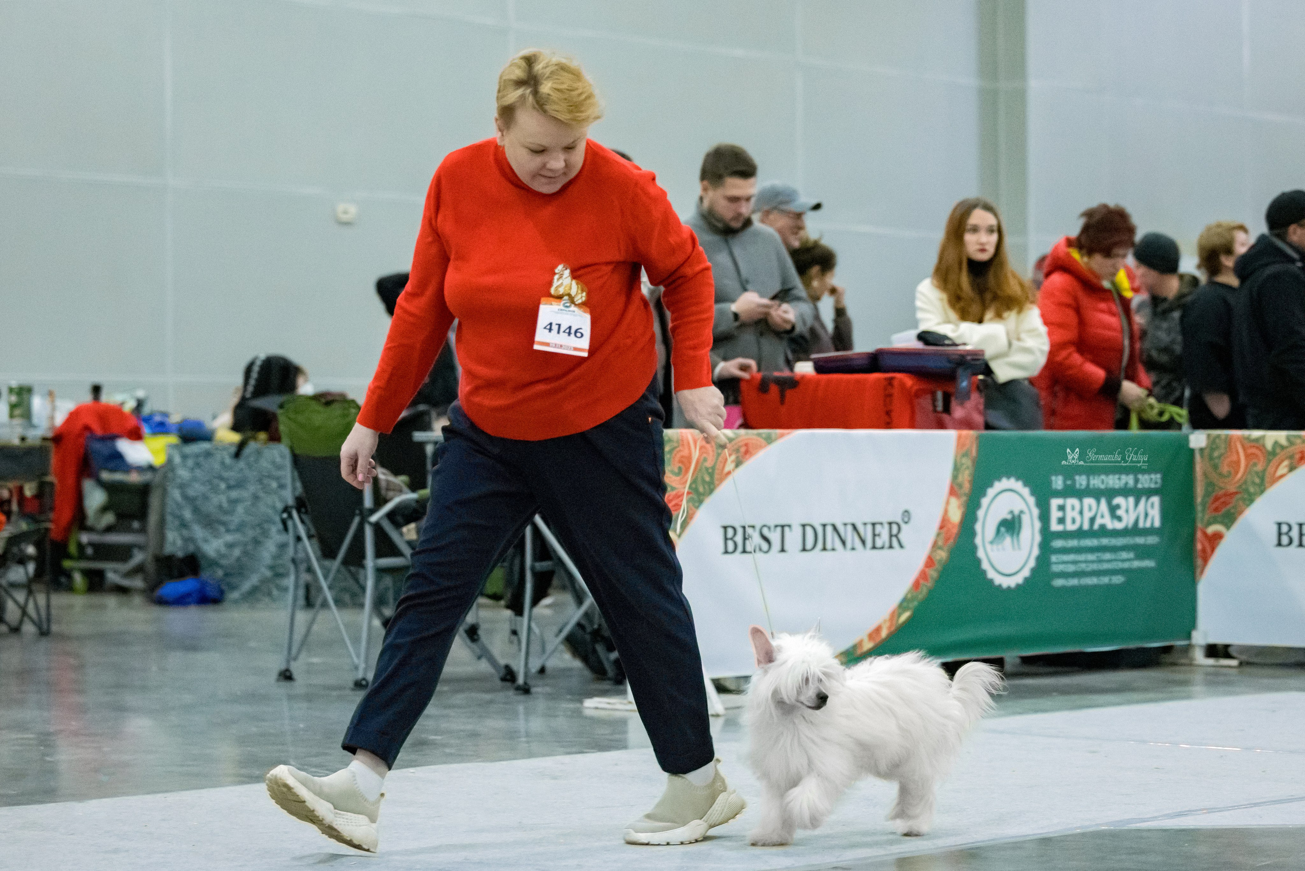 ЕВРАЗИЯ 18-19.11.2023. Фотограф-анималист Юлия Германика