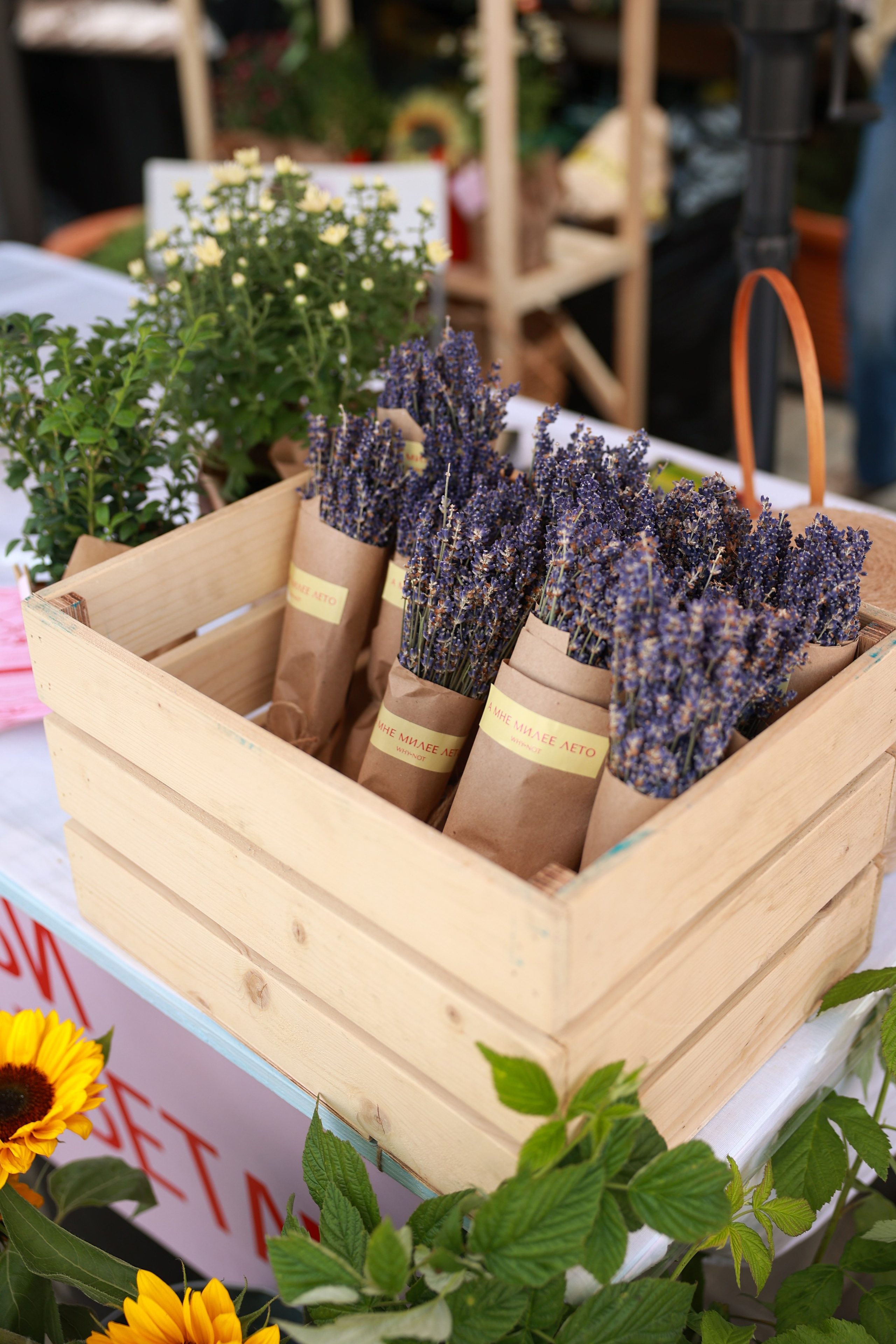 9–10 августа 2025 на Даниловском рынке / День 2 / фото Саша Жукова. Фотоотчеты «Ламбада-маркета»