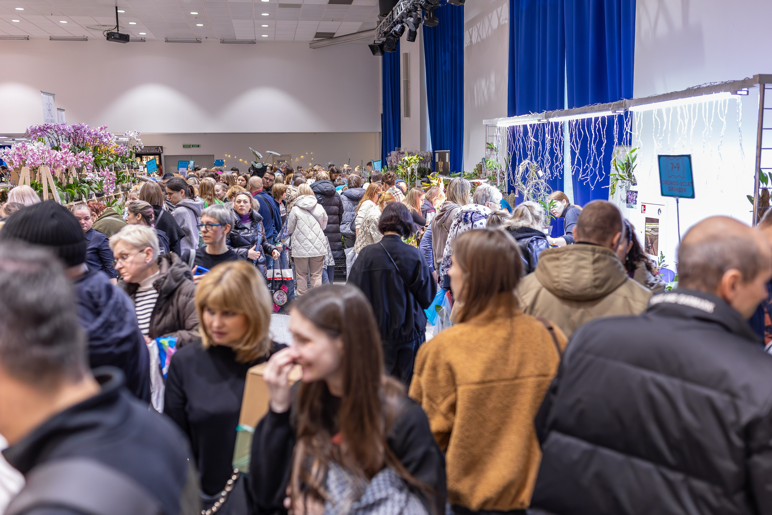 Орхидиум 12.2025. Александра Куликова фотограф, Москва