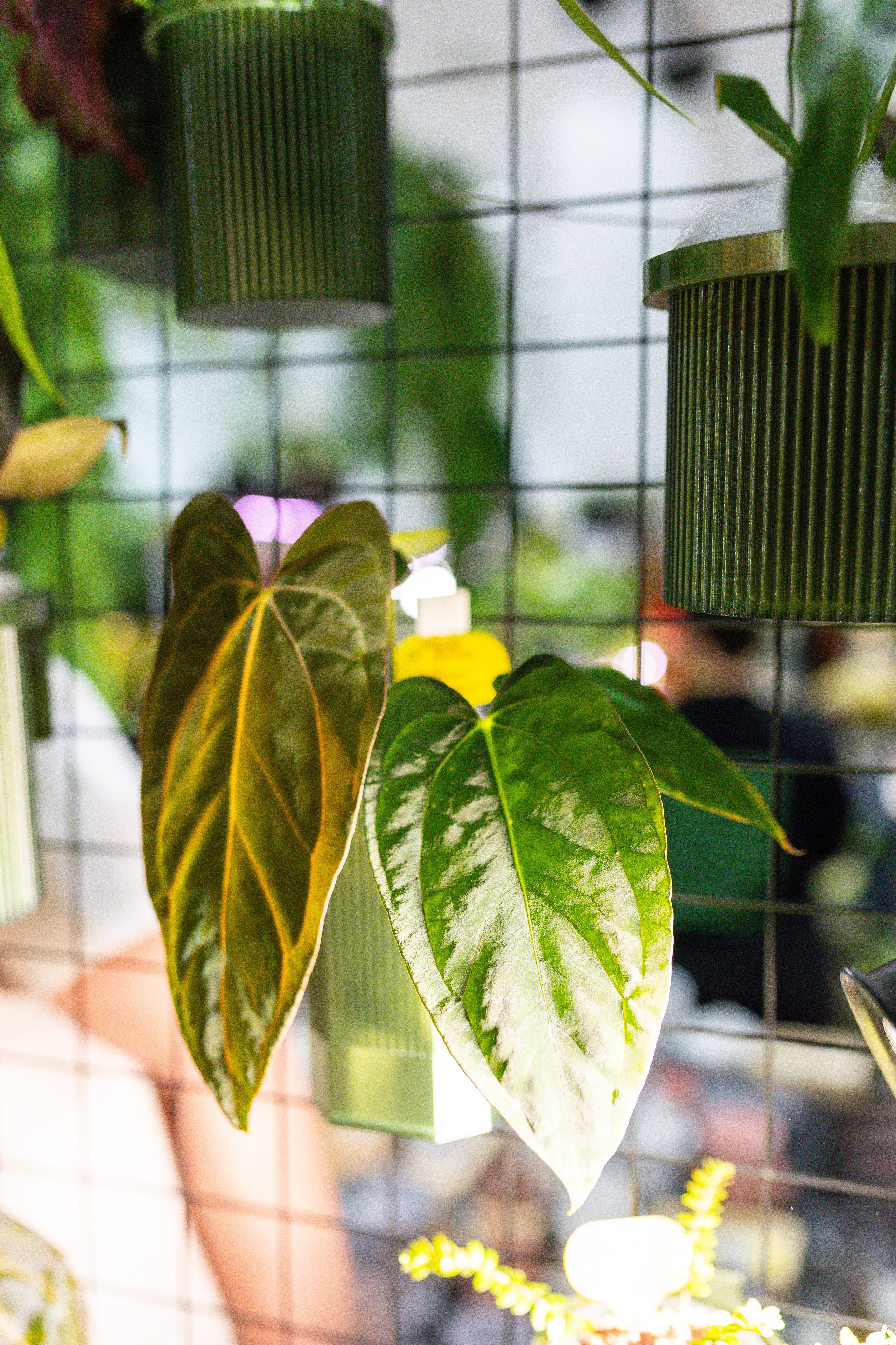 Монстериум 11–12 октября. Александра Куликова фотограф, Москва