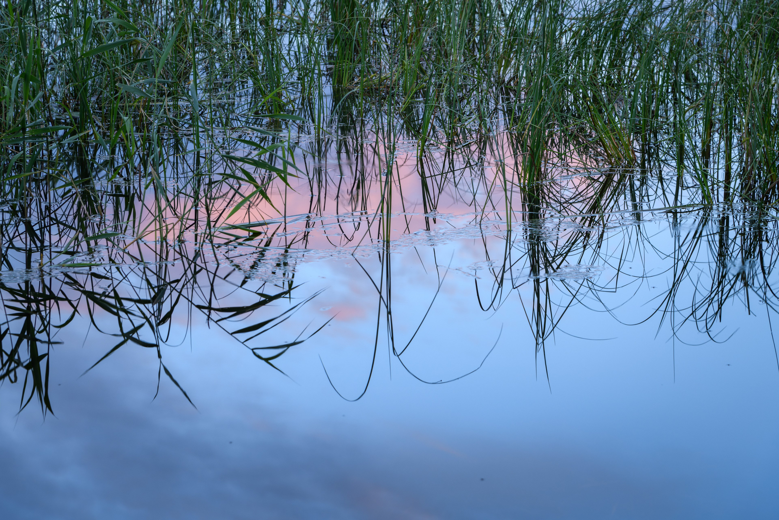 Лето. Северные Ночи