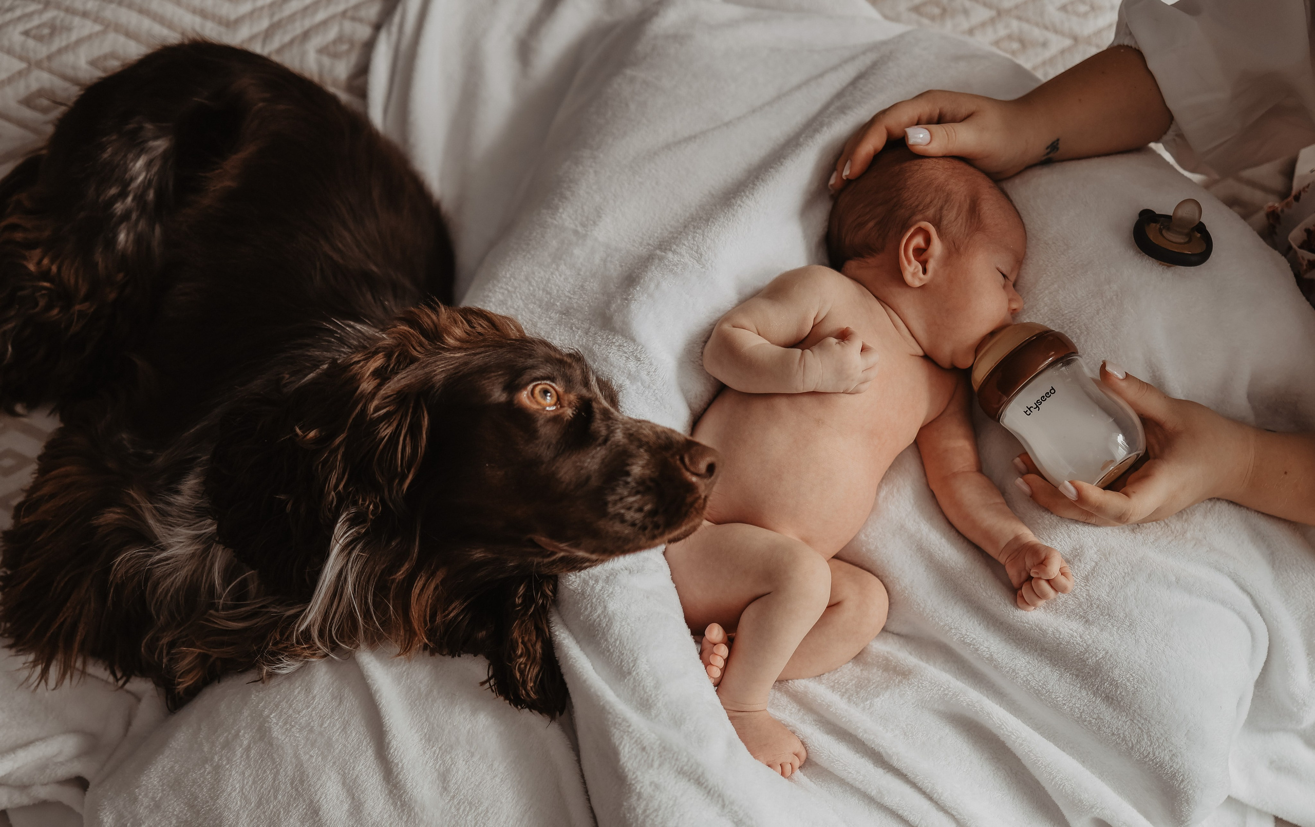 Стоимость и условия. Фотограф и видеограф в Москве Полина Абраменкова
