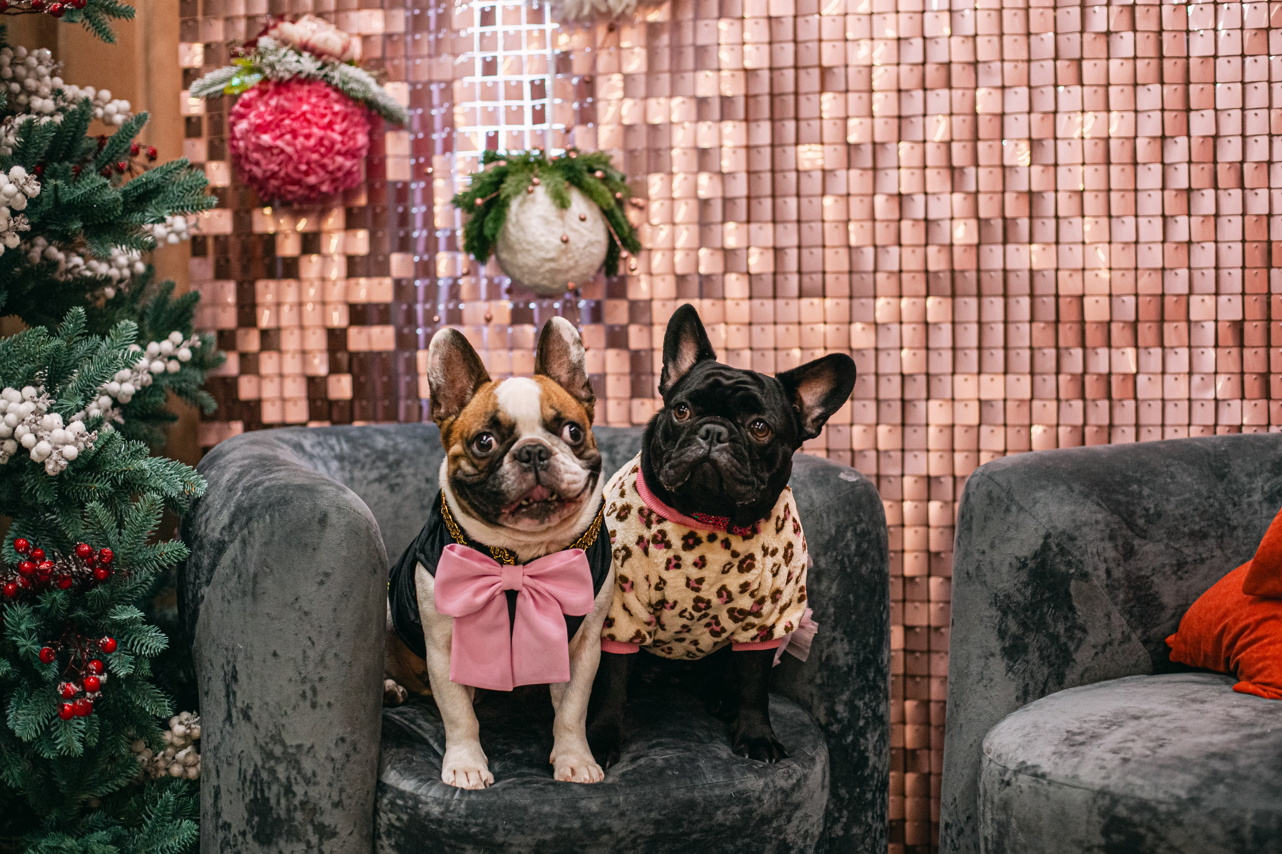 Бульёлка 2024. Фотограф-анималист Татьяна Степанова