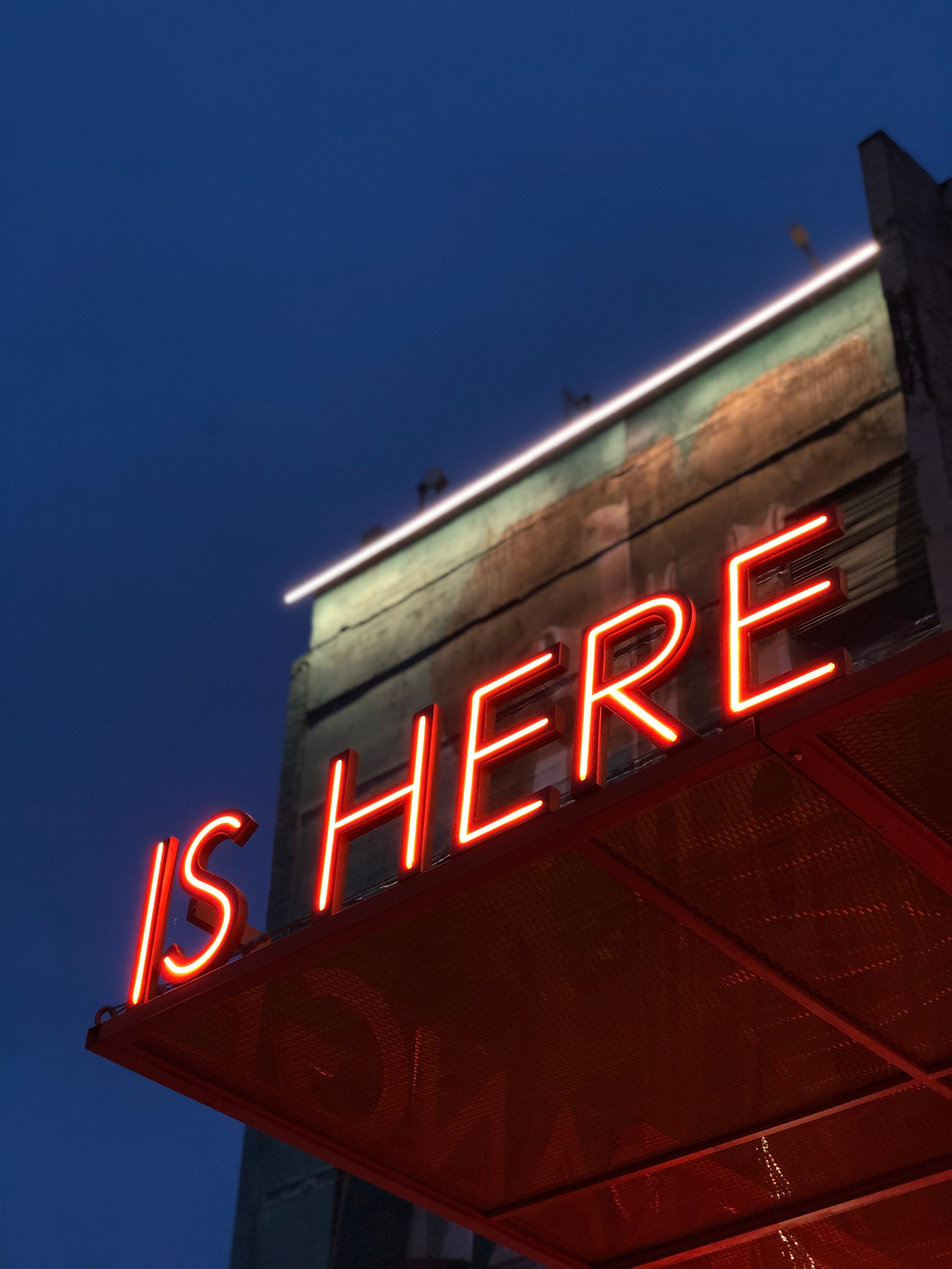 Август. Семейный, Свадебный фотограф СПБ Питер— Романова Екатерина