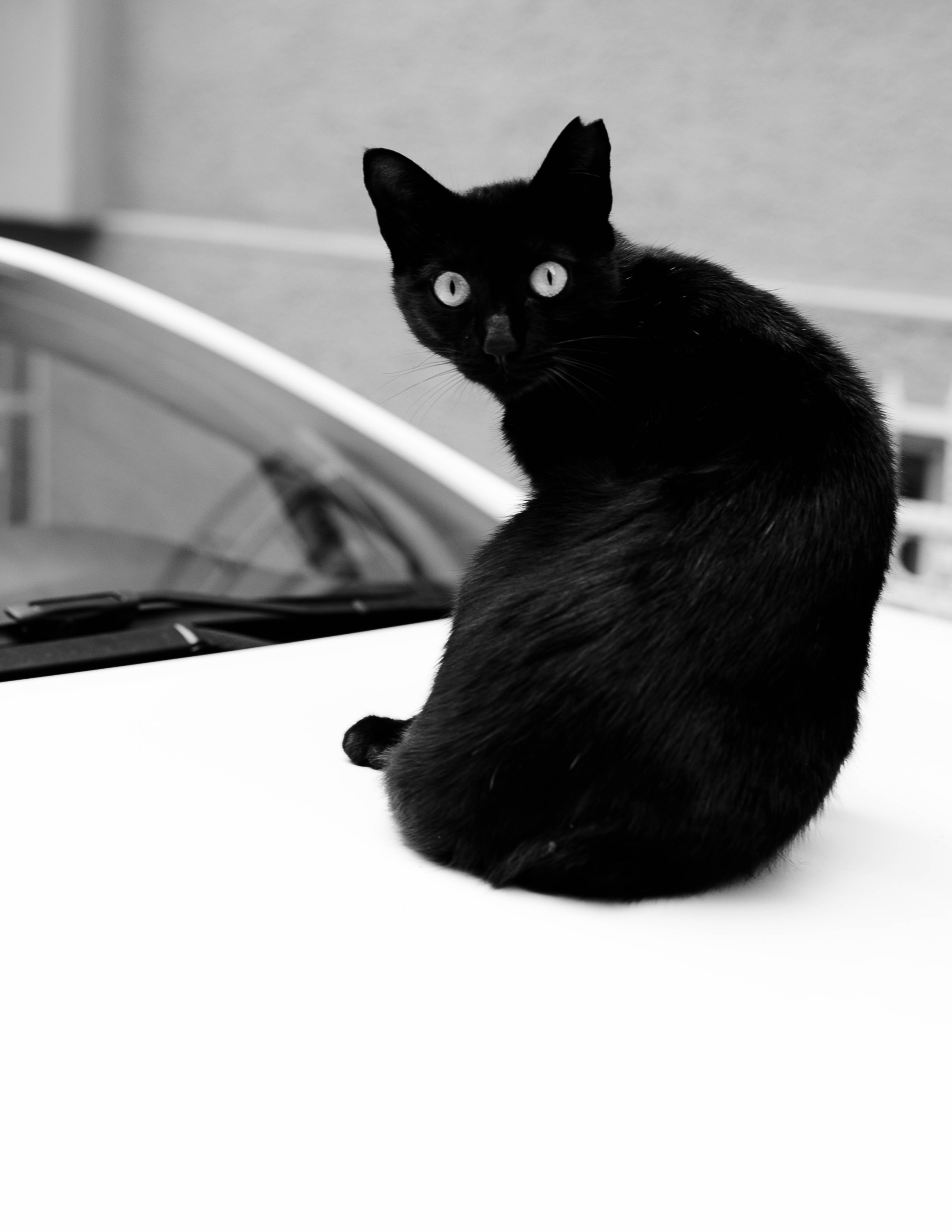 Istanbul. Katerina Spekhova