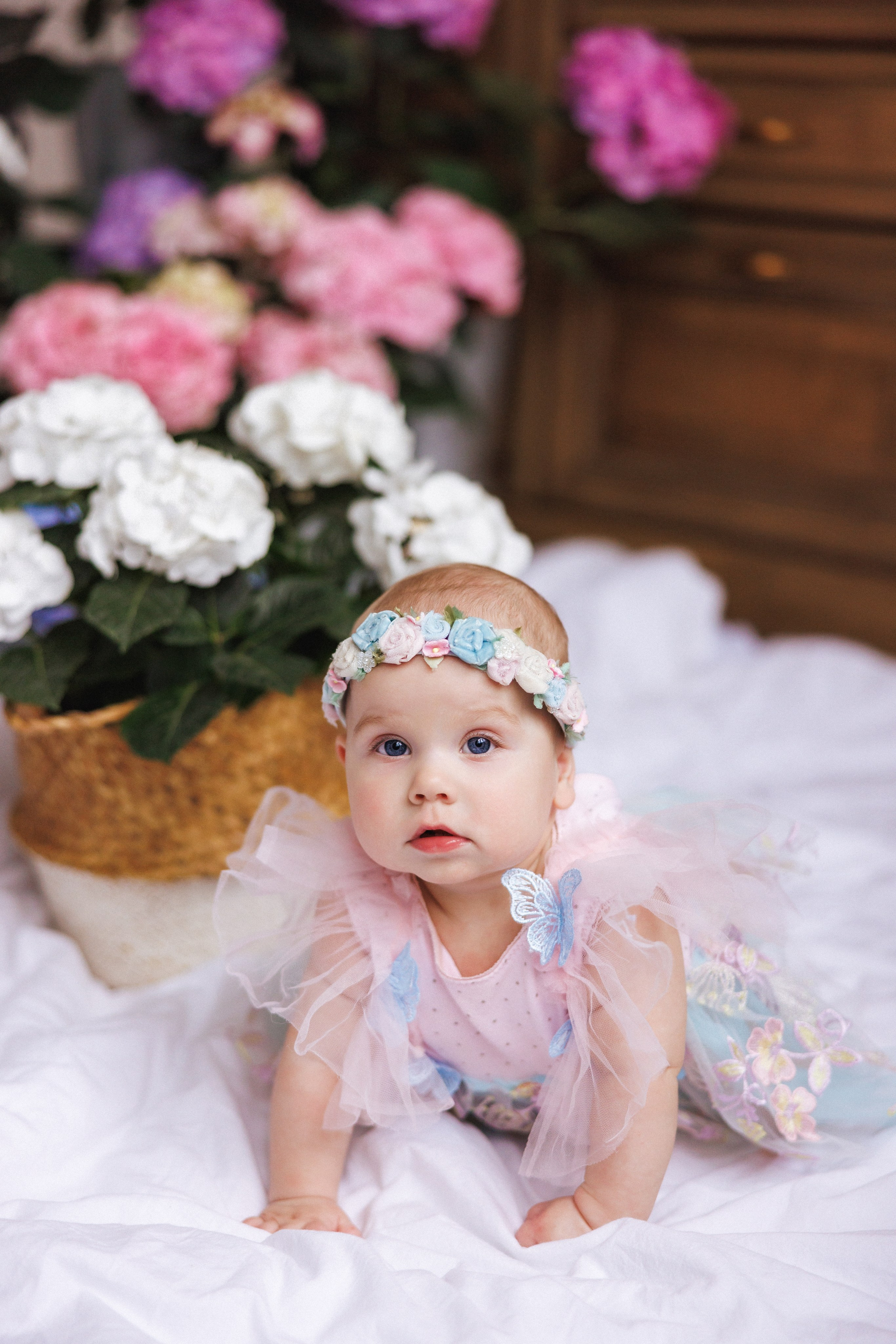 Фотосессия с живыми цветами Гортензии, город Краснодар, фотостудия «Истории». Семейный и детский фотограф в Краснодаре Анна Трашкова