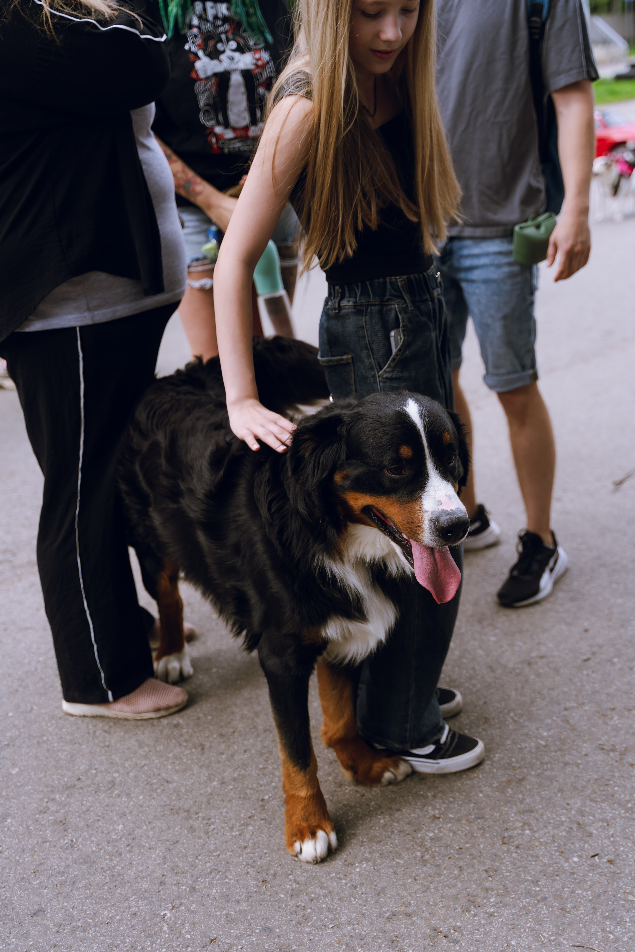 Площадка фестиваля «Мампус и его друзья» в Лесопарке 2025. Фотограф Надежда Погребняк | Рязань | Москва