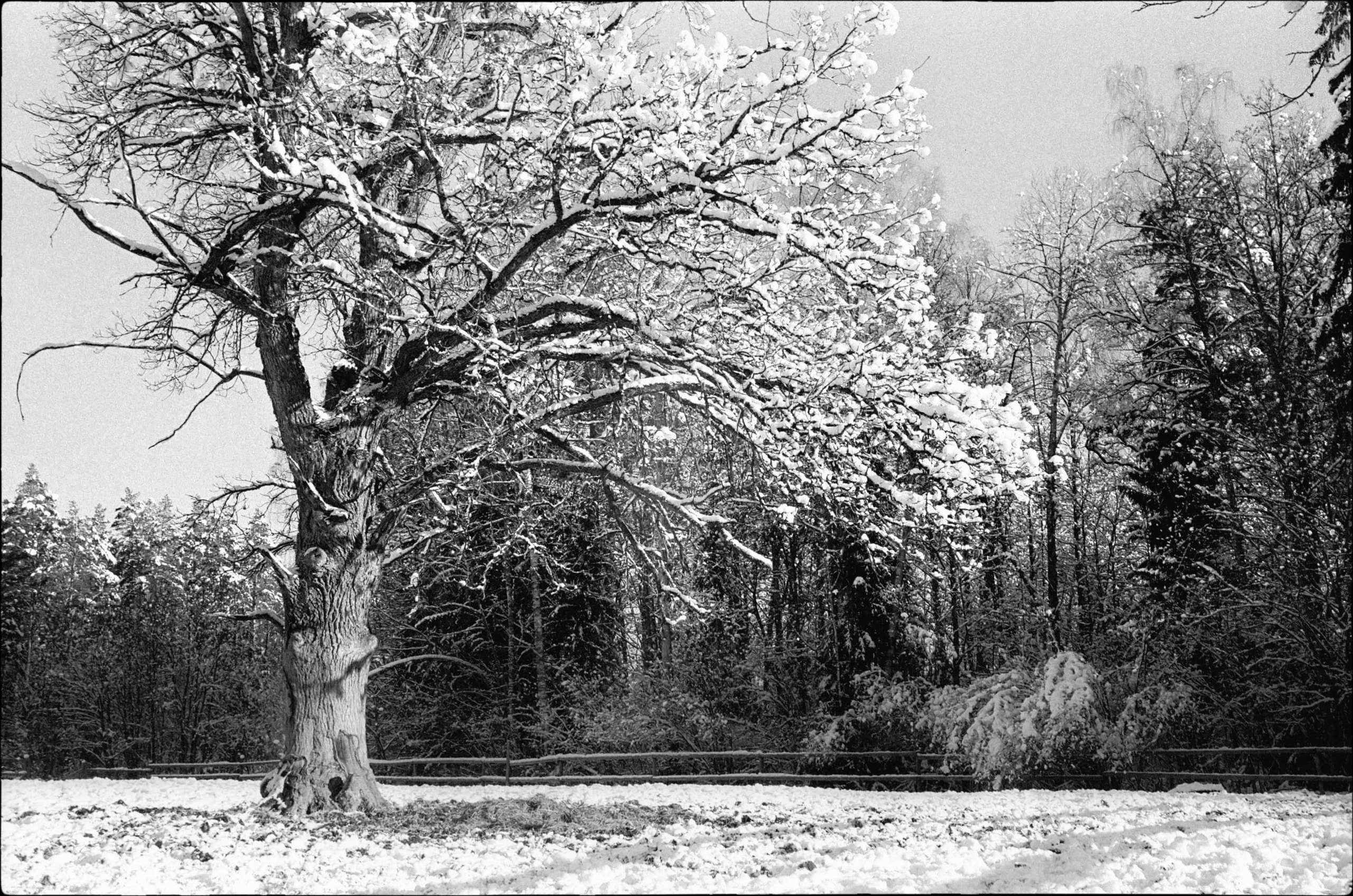 Пленочная фотография Олег Кузнецов. Artkapella|Олег Кузнецов