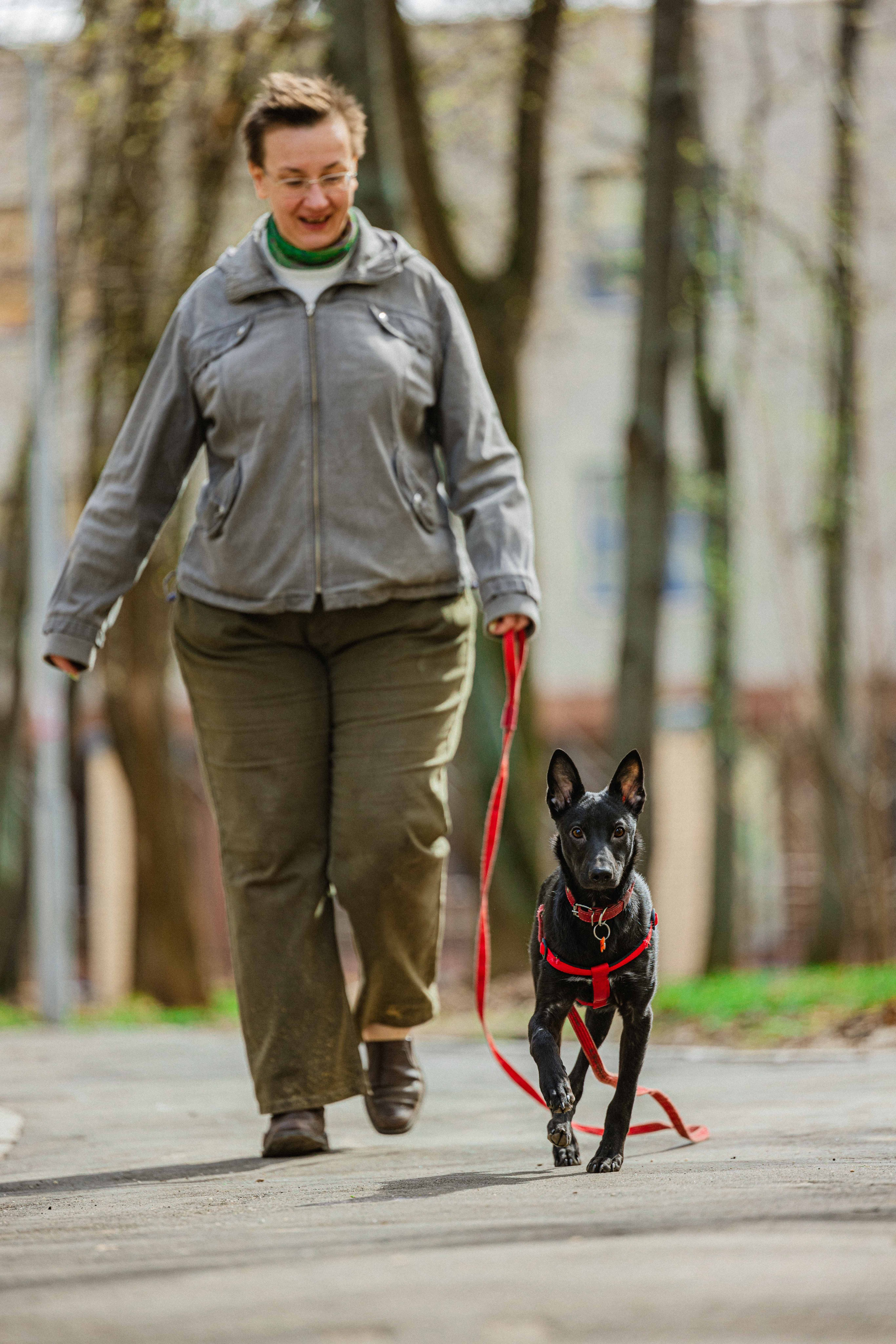 Булька. Фотограф-анималист в Москве Лера Черноног