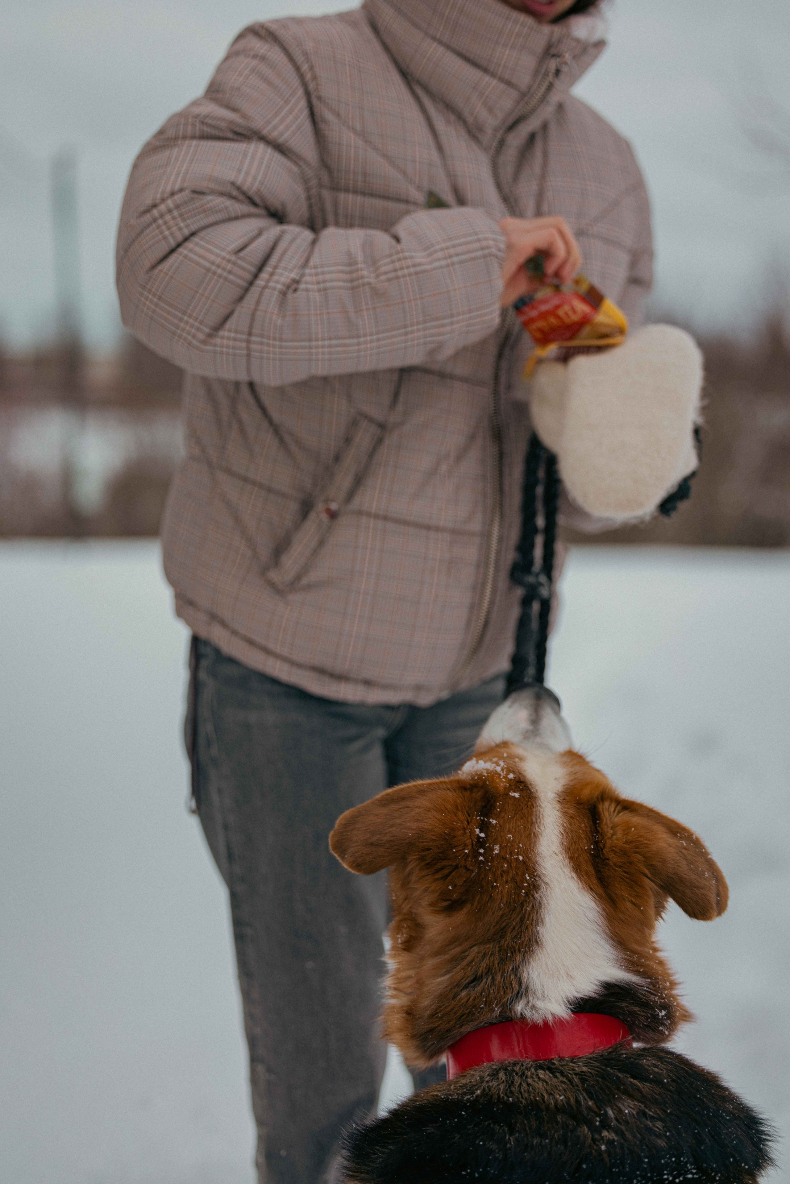 Петя. Фотограф-анималист в Москве Лера Черноног