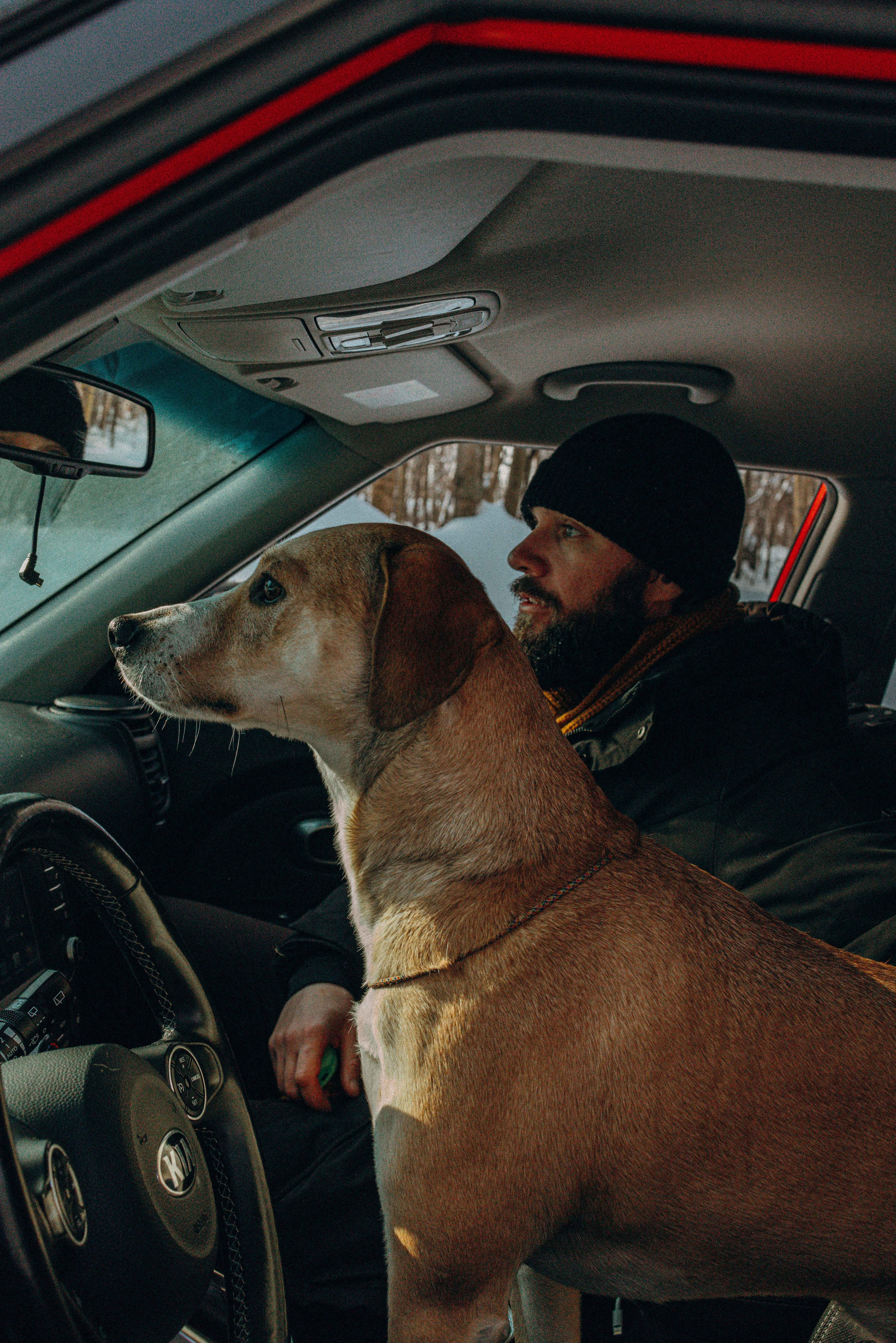 Свобода и ее семья. Фотограф-анималист в Москве Лера Черноног