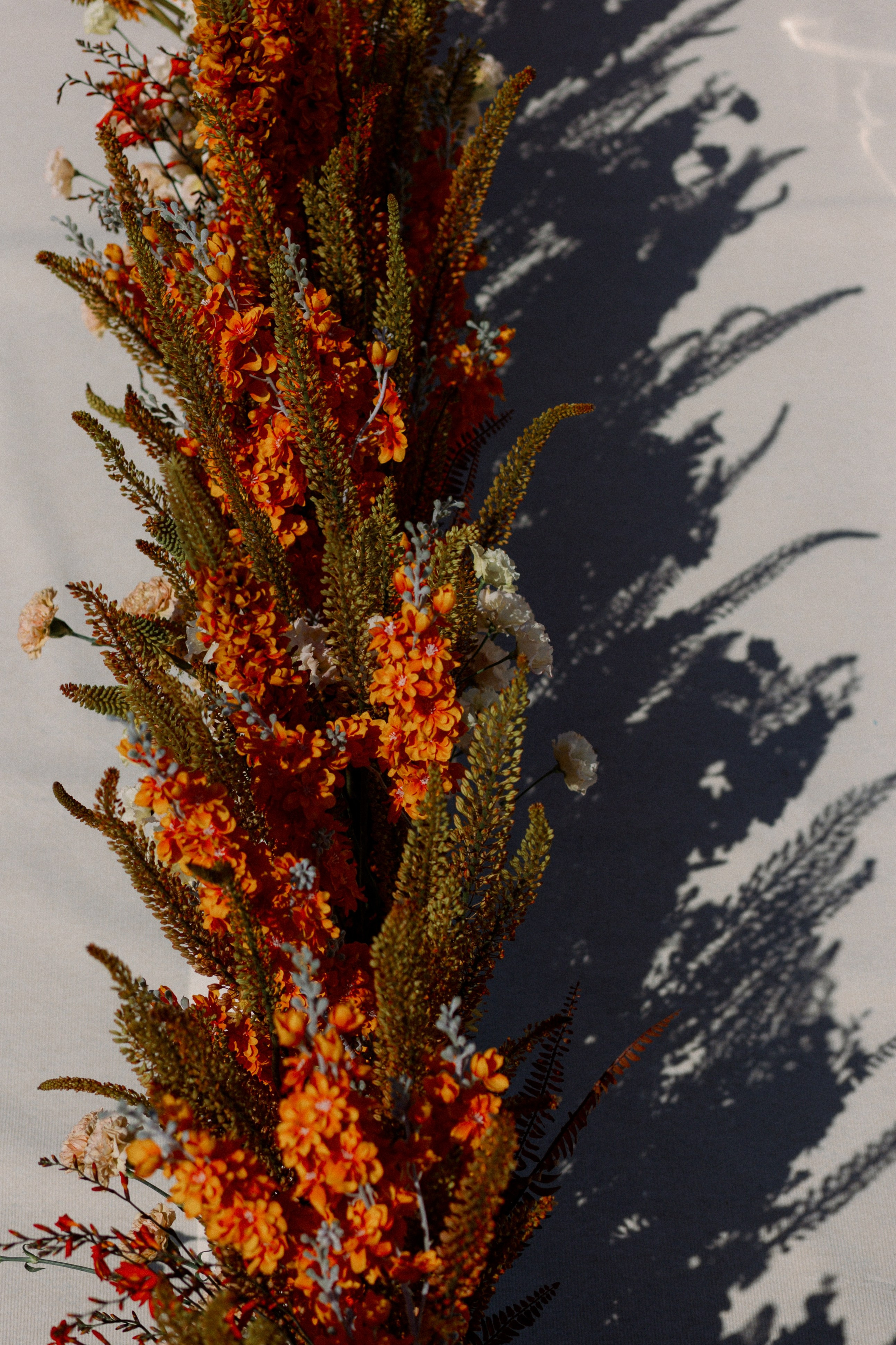 Рождение Венеры. Фотограф Serj Ganso