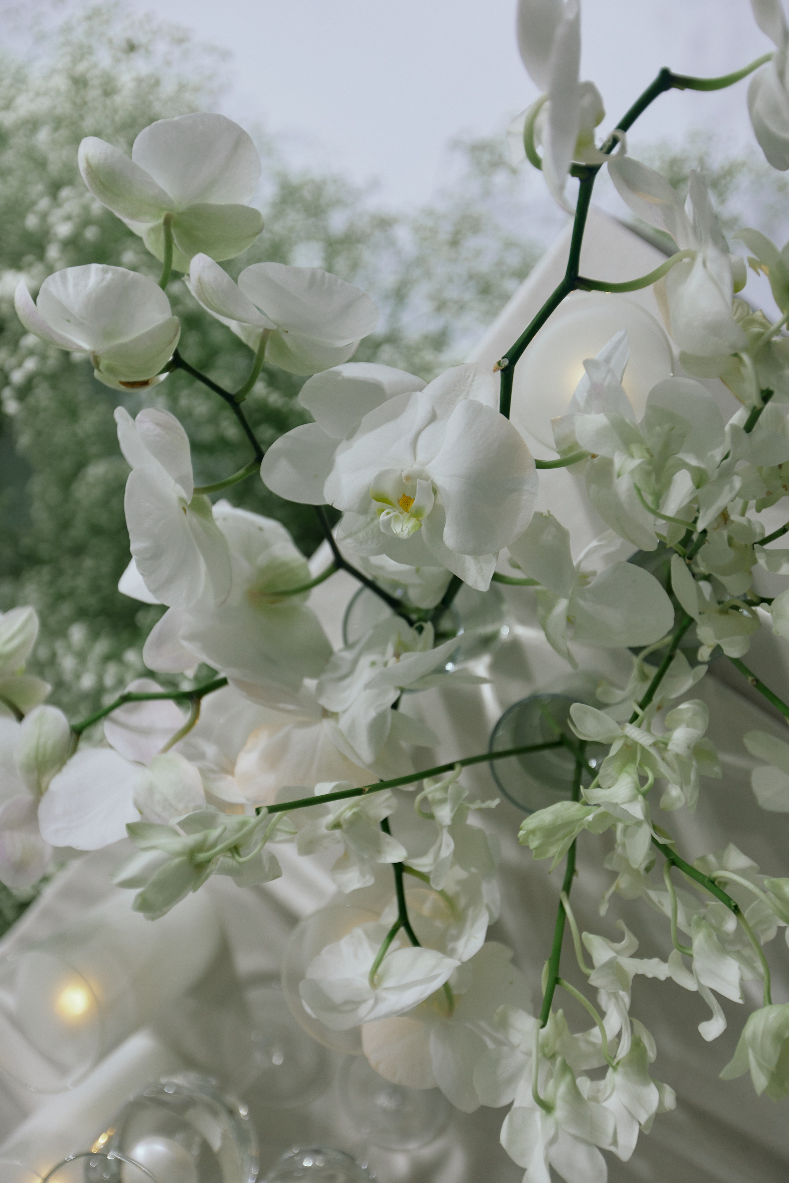 FANYA CARD DECOR. Дмитрий Мазуркевич: Профессиональный Репортажный Фотограф