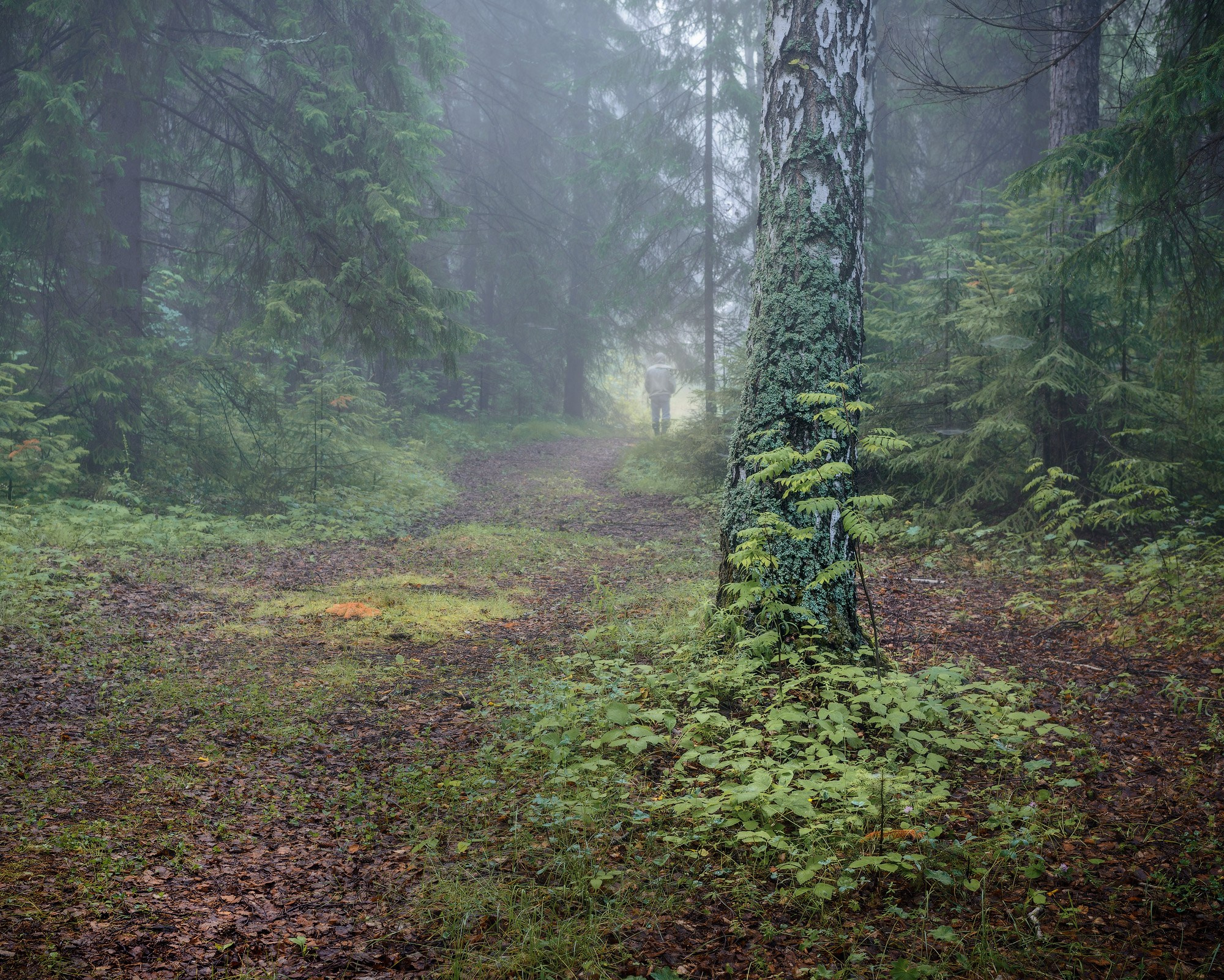 Летние пейзажи Черноисточинска | Фотограф Николай Обухов