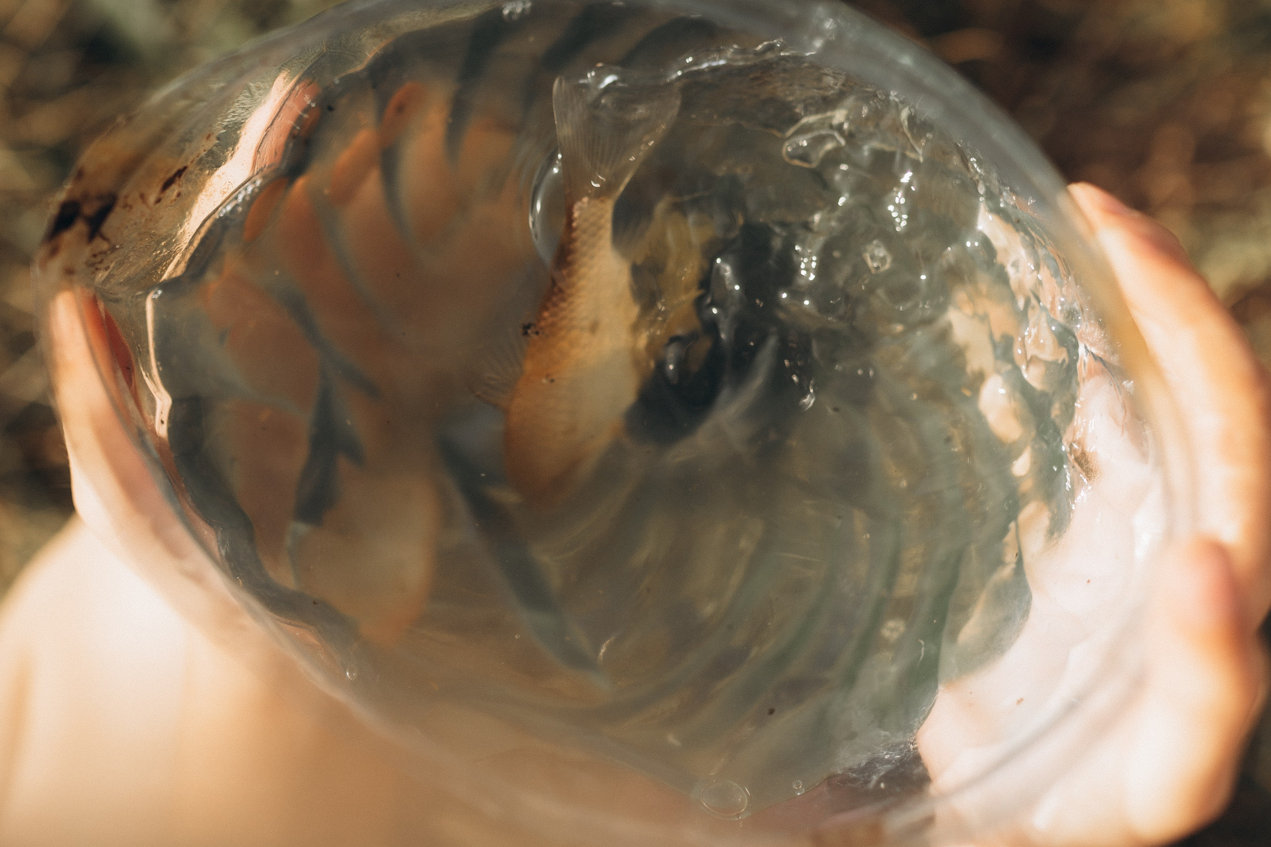 Семейная рыбалка. Семейный фотограф lifestyle в Новосибирске Елена Шпилевая