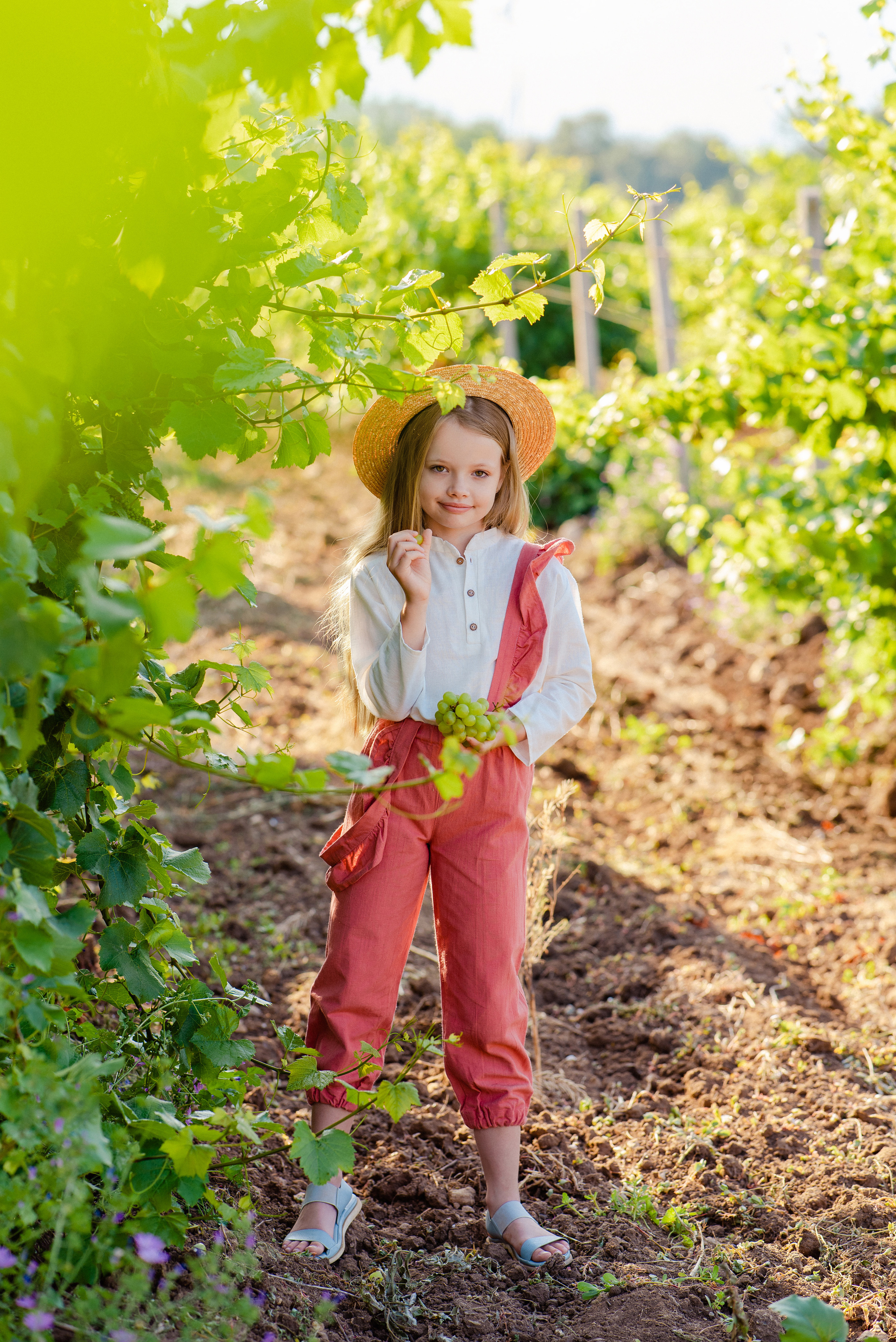 Виноградник. Фотограф в Минске и Минской области — Яна Скакун