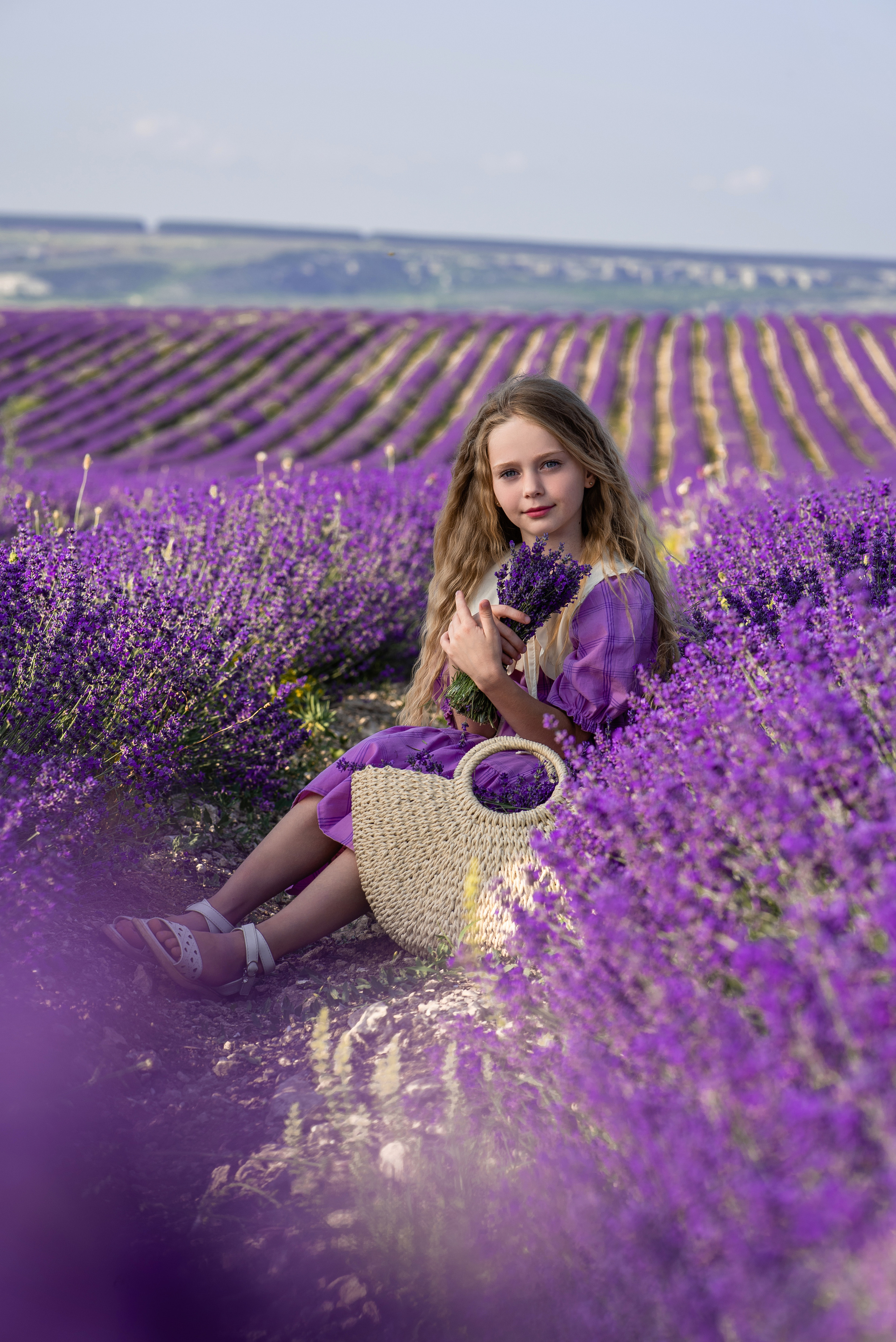 Лавандовое поле. Фотограф в Минске и Минской области — Яна Скакун