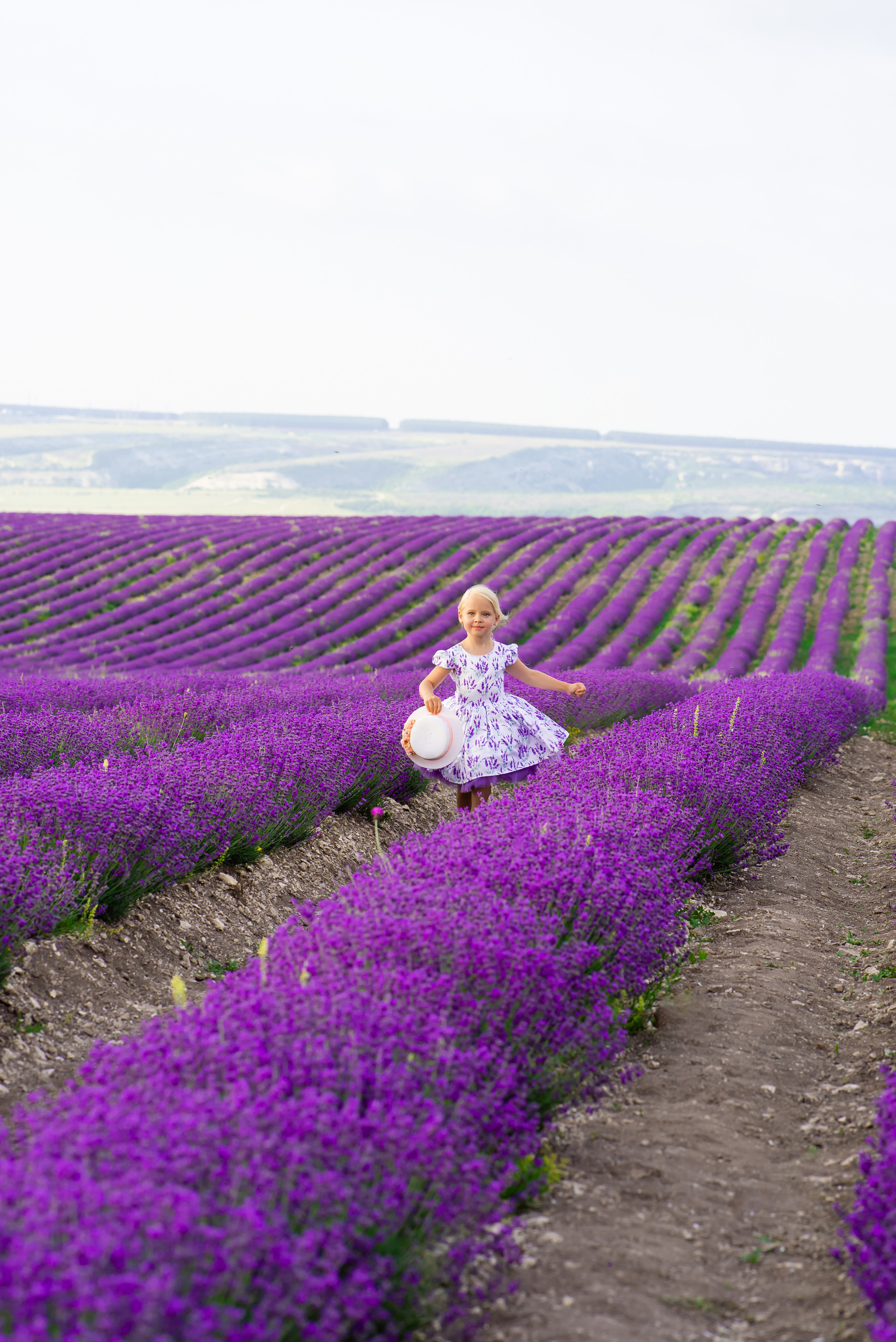Лавандовое поле. Фотограф в Минске и Минской области — Яна Скакун