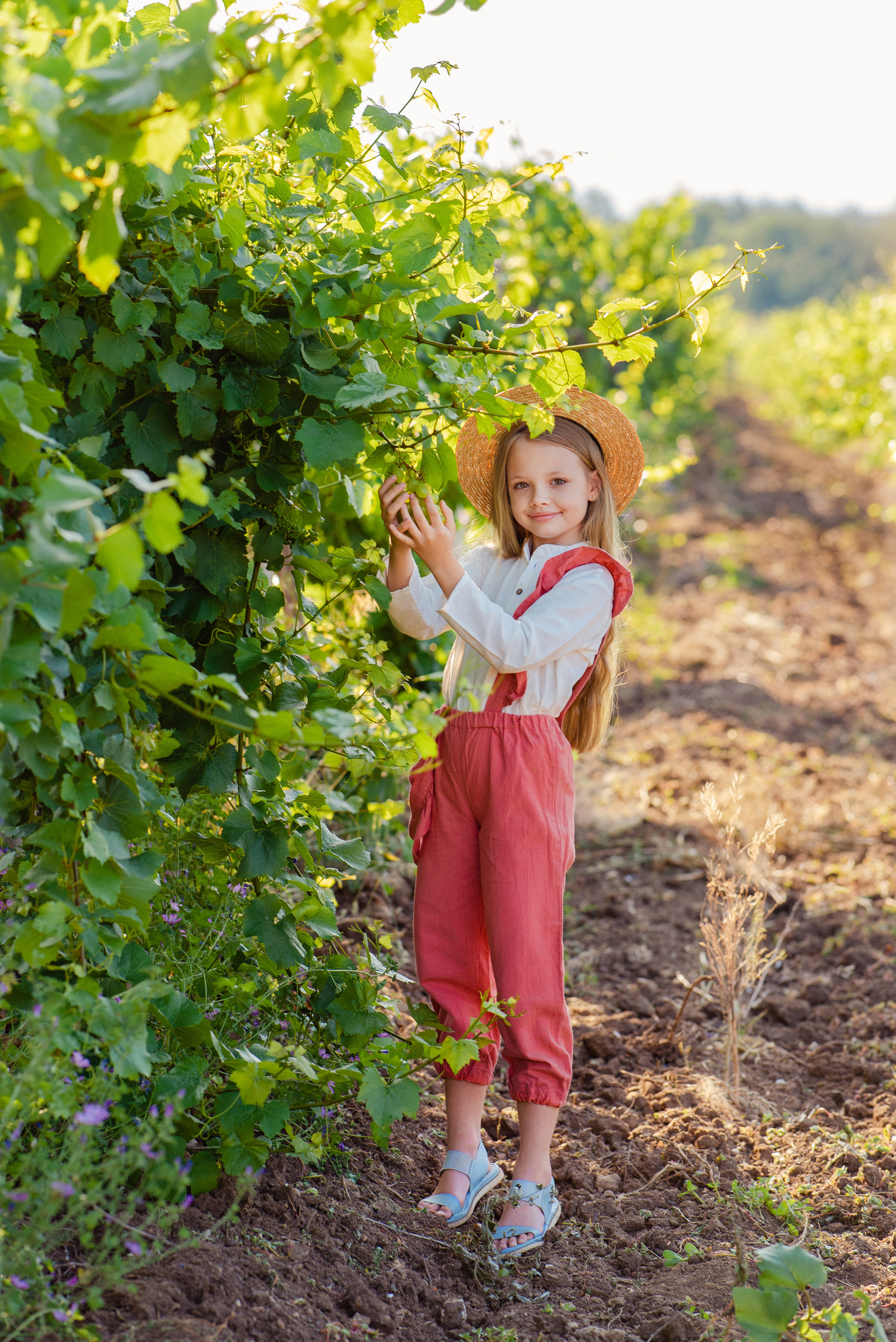 Виноградник. Фотограф в Минске и Минской области — Яна Скакун