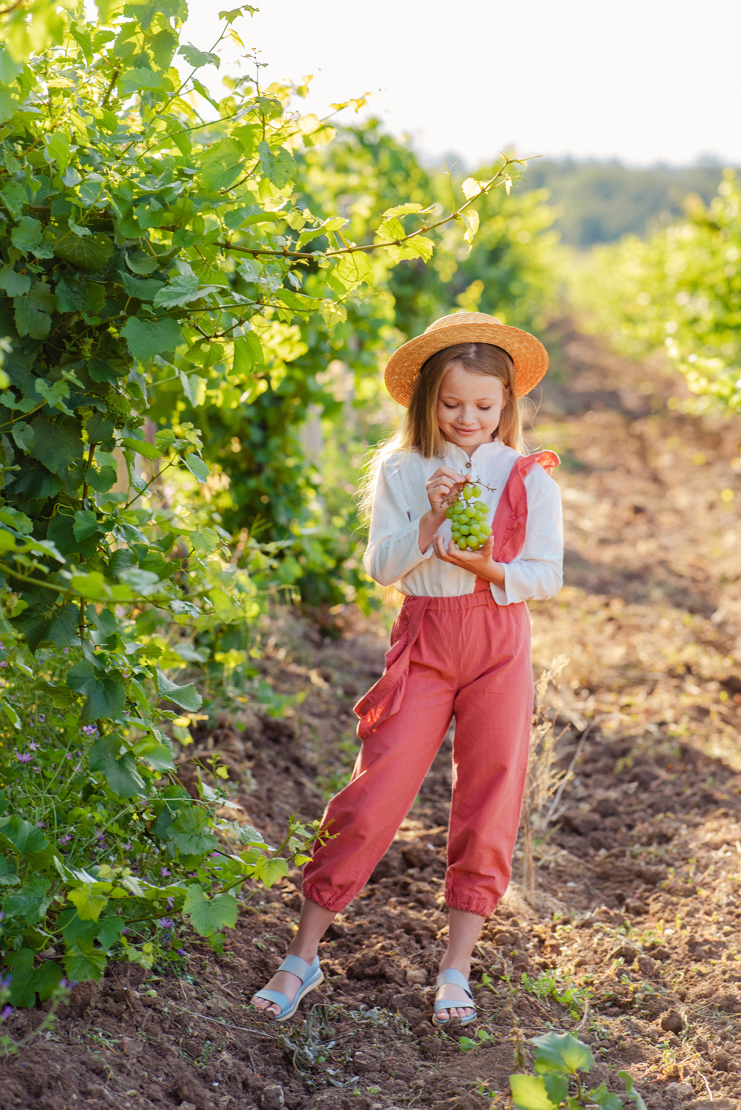 Виноградник. Фотограф в Минске и Минской области — Яна Скакун